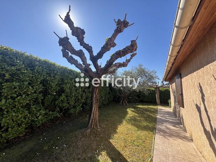 Photo illustration
