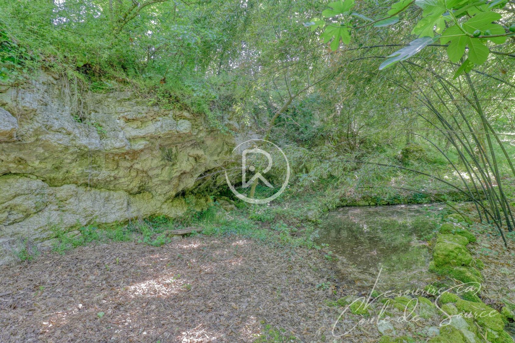 Achat immobilier Maison 6 pièces  279m2 à Sarrant (32120) - Photo n°15