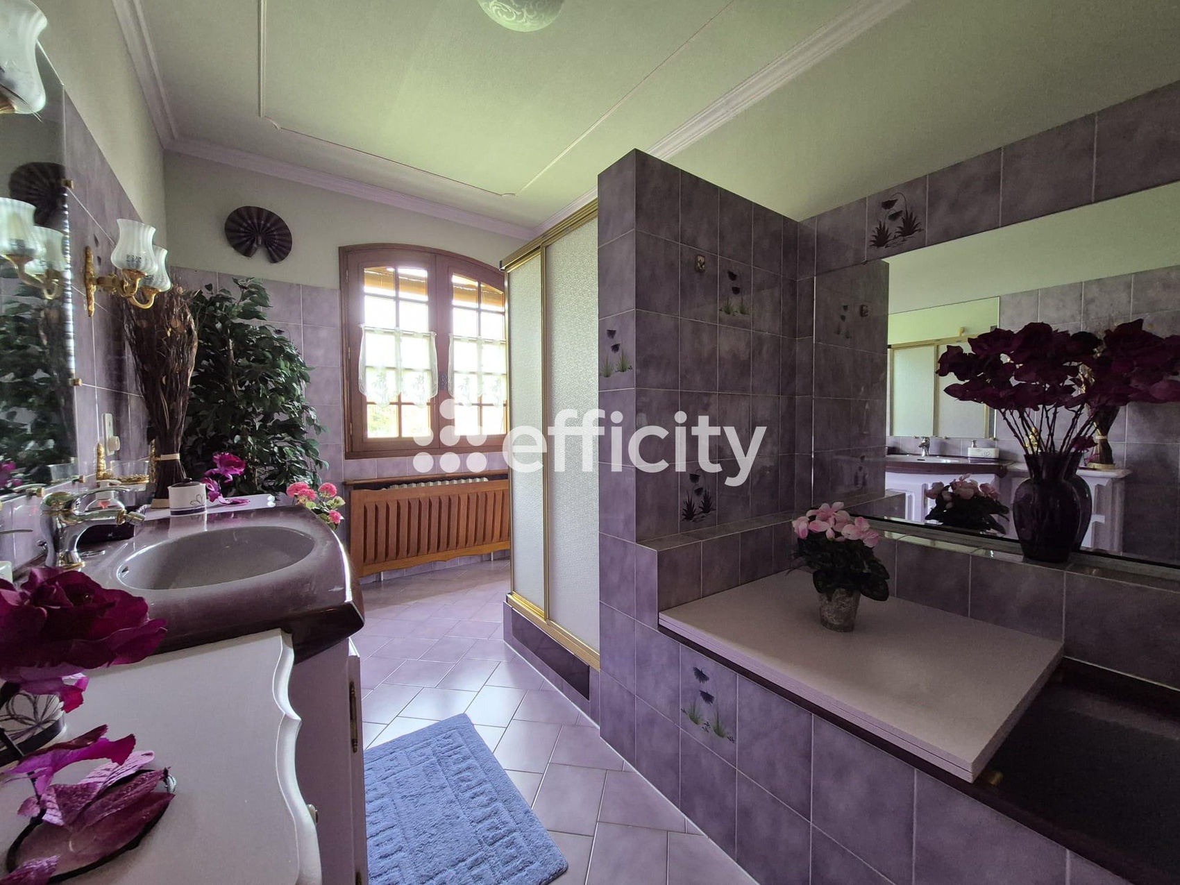 Achat immobilier Maison 8 pièces  207m2 à Étagnac (16150) - Photo n°8