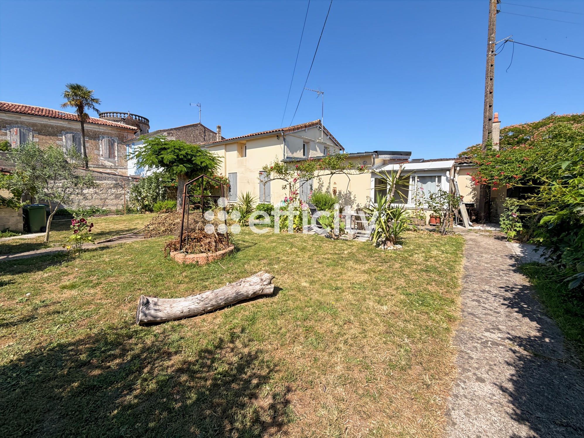 First photo