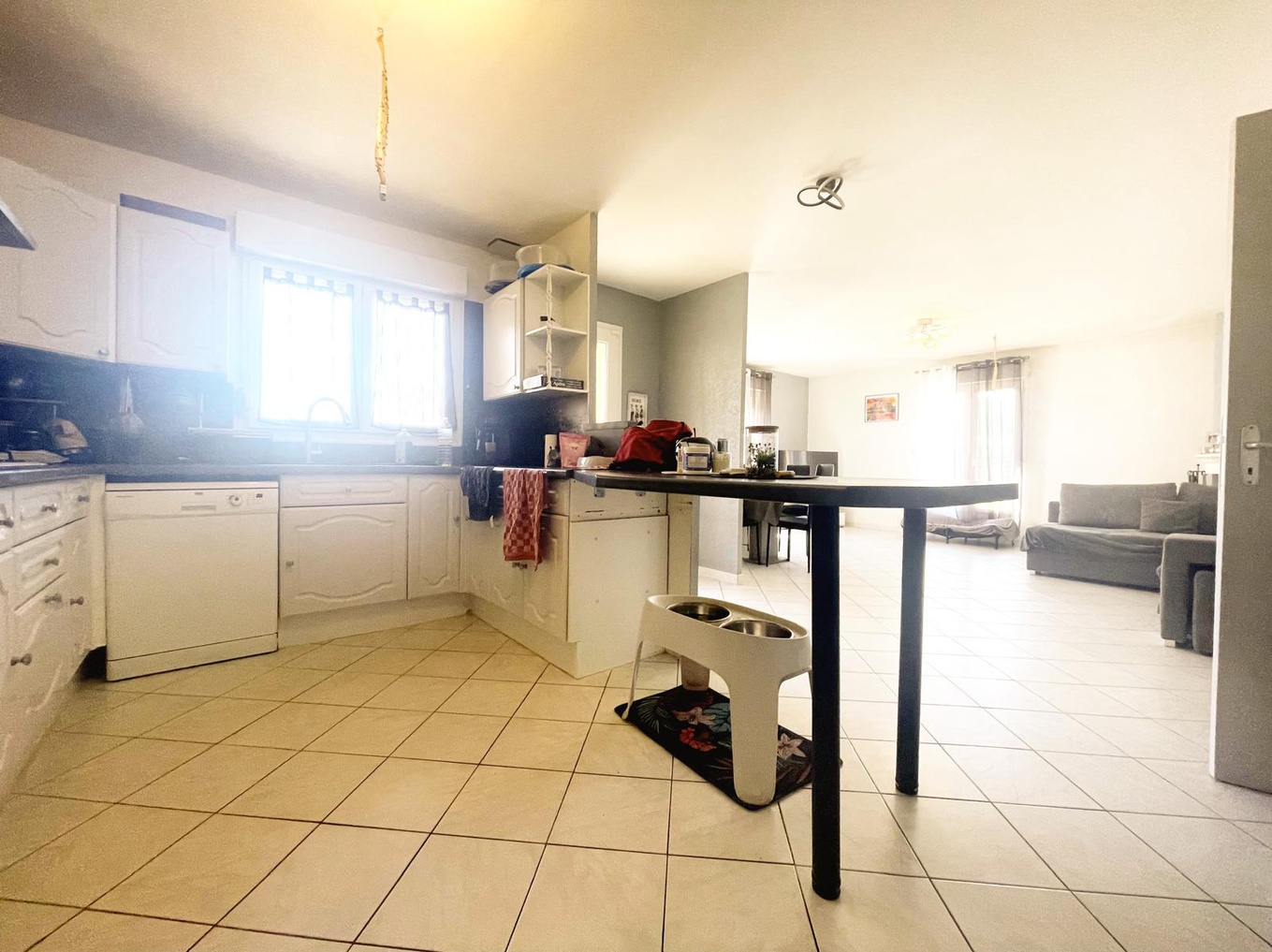Achat immobilier Maison 4 pièces  94m2 à Saint-Jean-du-Falga (09100) - Photo n°5