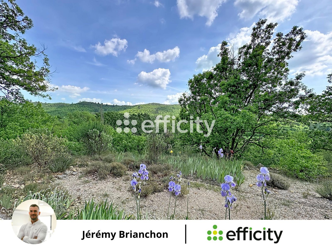 Achat immobilier Maison 4 pièces  94m2 à Saint-Martin-de-Brômes (04800) - Photo n°11