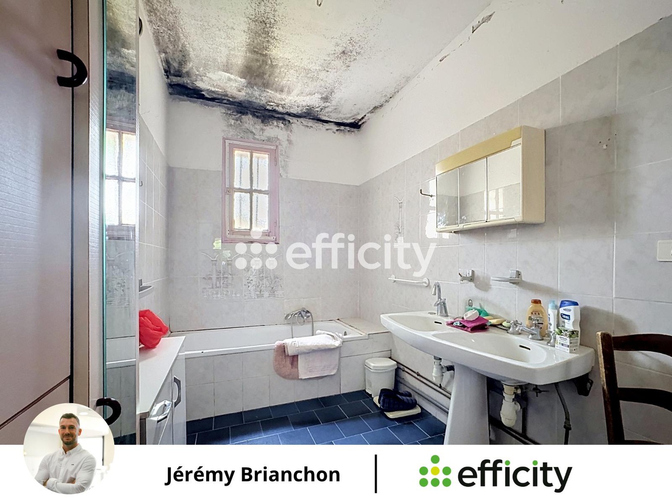Achat immobilier Maison 4 pièces  94m2 à Saint-Martin-de-Brômes (04800) - Photo n°6