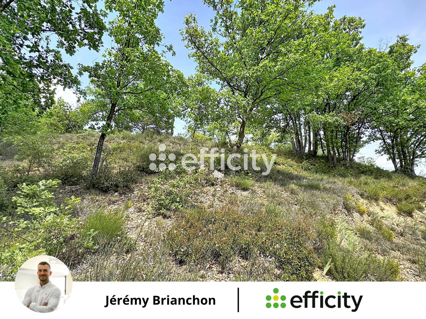Achat immobilier Maison 4 pièces  94m2 à Saint-Martin-de-Brômes (04800) - Photo n°10