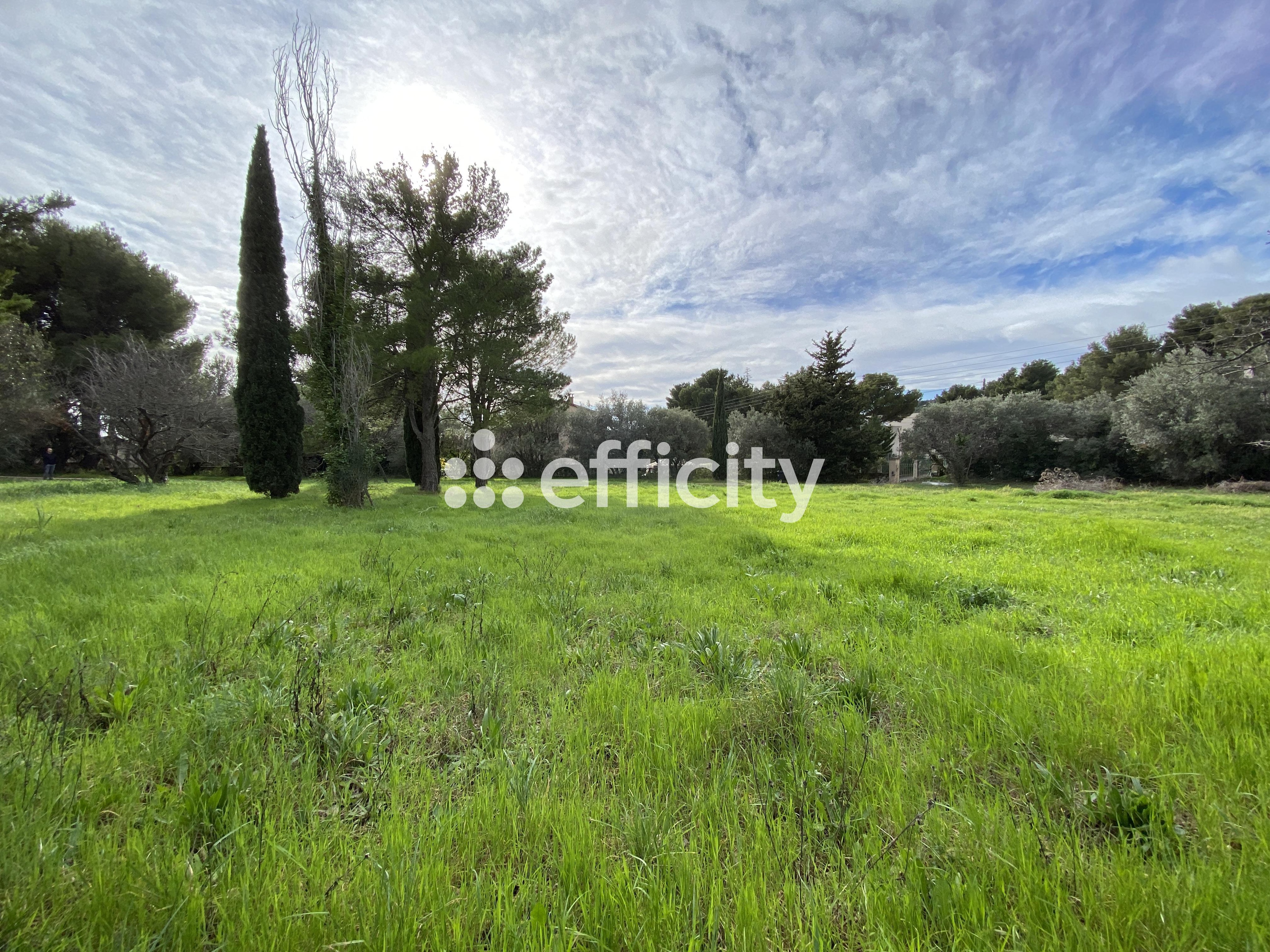 Achat immobilier Terrain   5261m2 à Marseille (13013) - Photo n°5