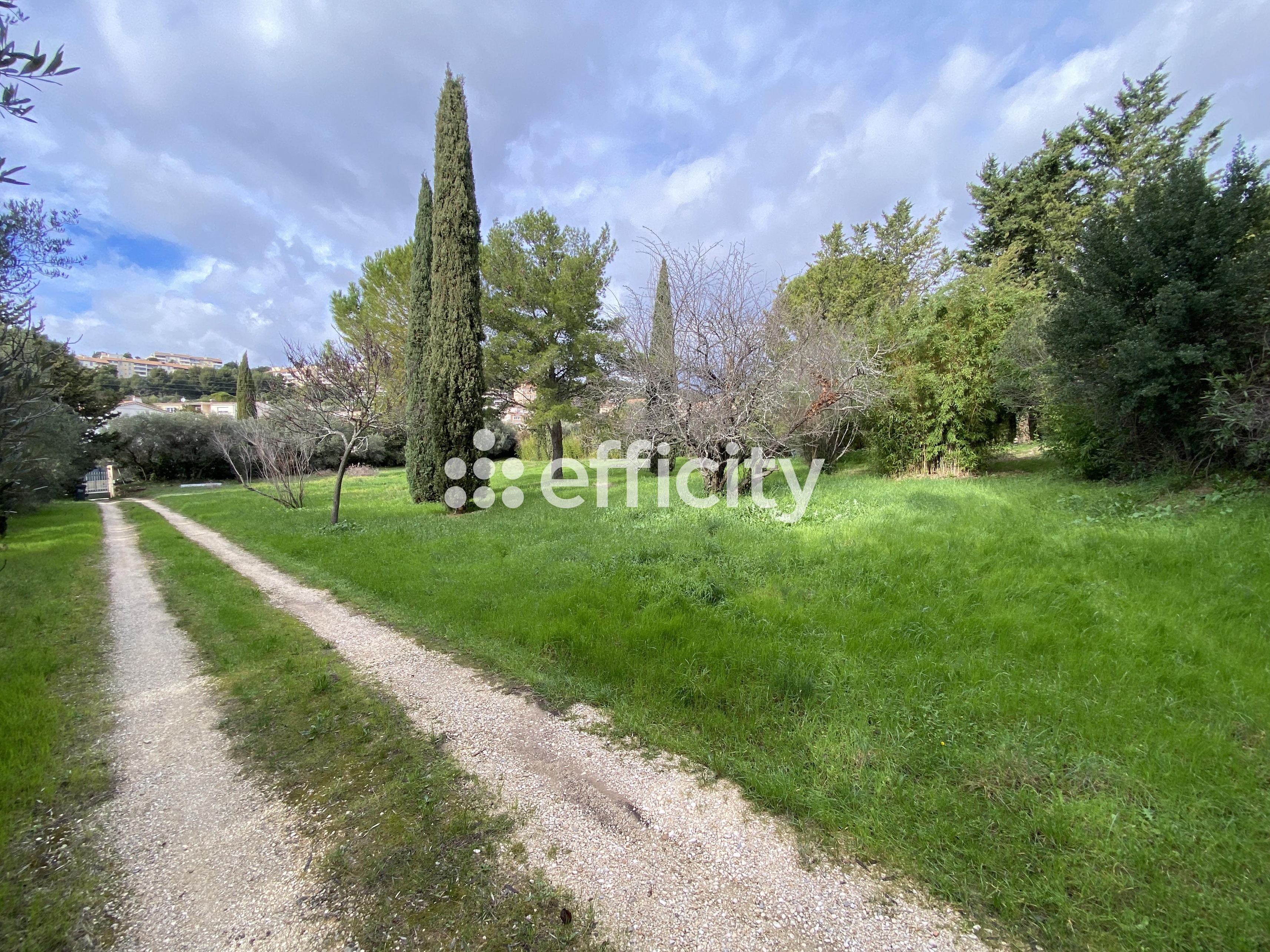 Achat immobilier Terrain   5261m2 à Marseille (13013) - Photo n°4