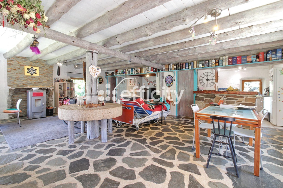 maison 8 pièces - 312m2 à Sanssac-l'Église (43320)