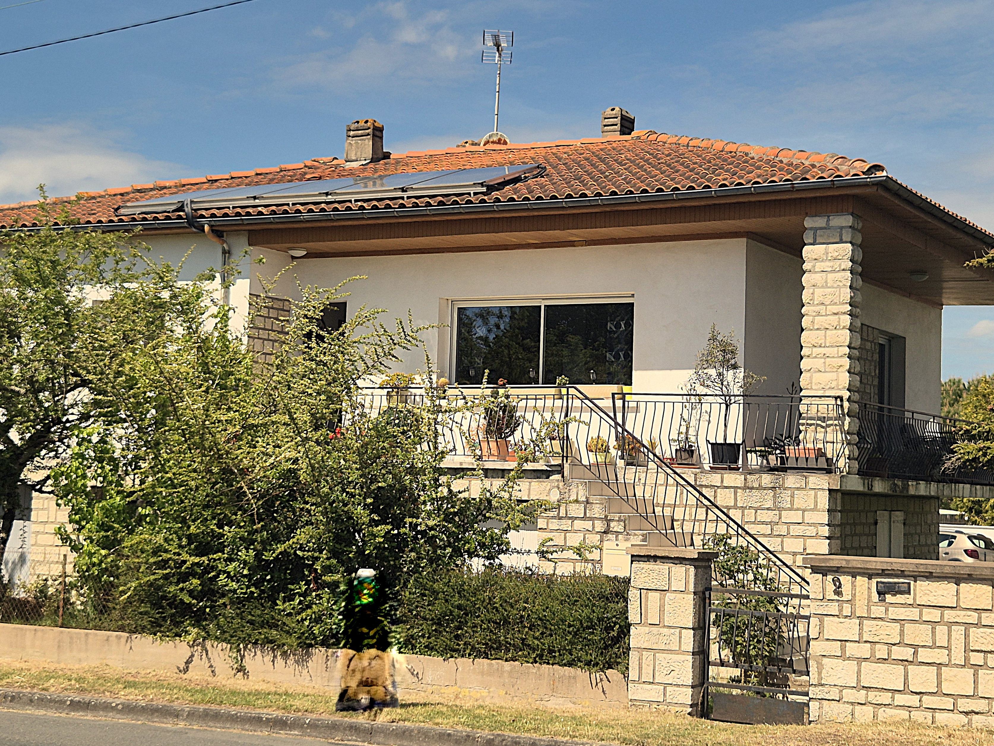 Photo illustration