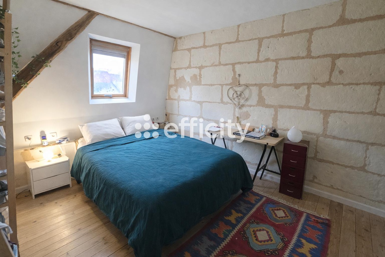 Achat immobilier Maison 8 pièces  208m2 à Neuillé-Pont-Pierre (37360) - Photo n°8
