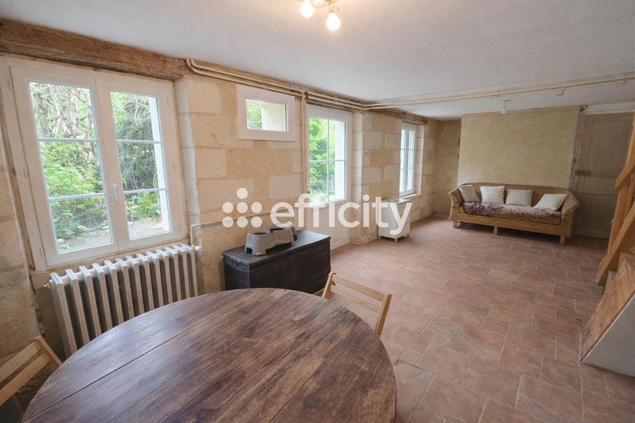 Achat immobilier Maison 8 pièces  208m2 à Neuillé-Pont-Pierre (37360) - Photo n°12