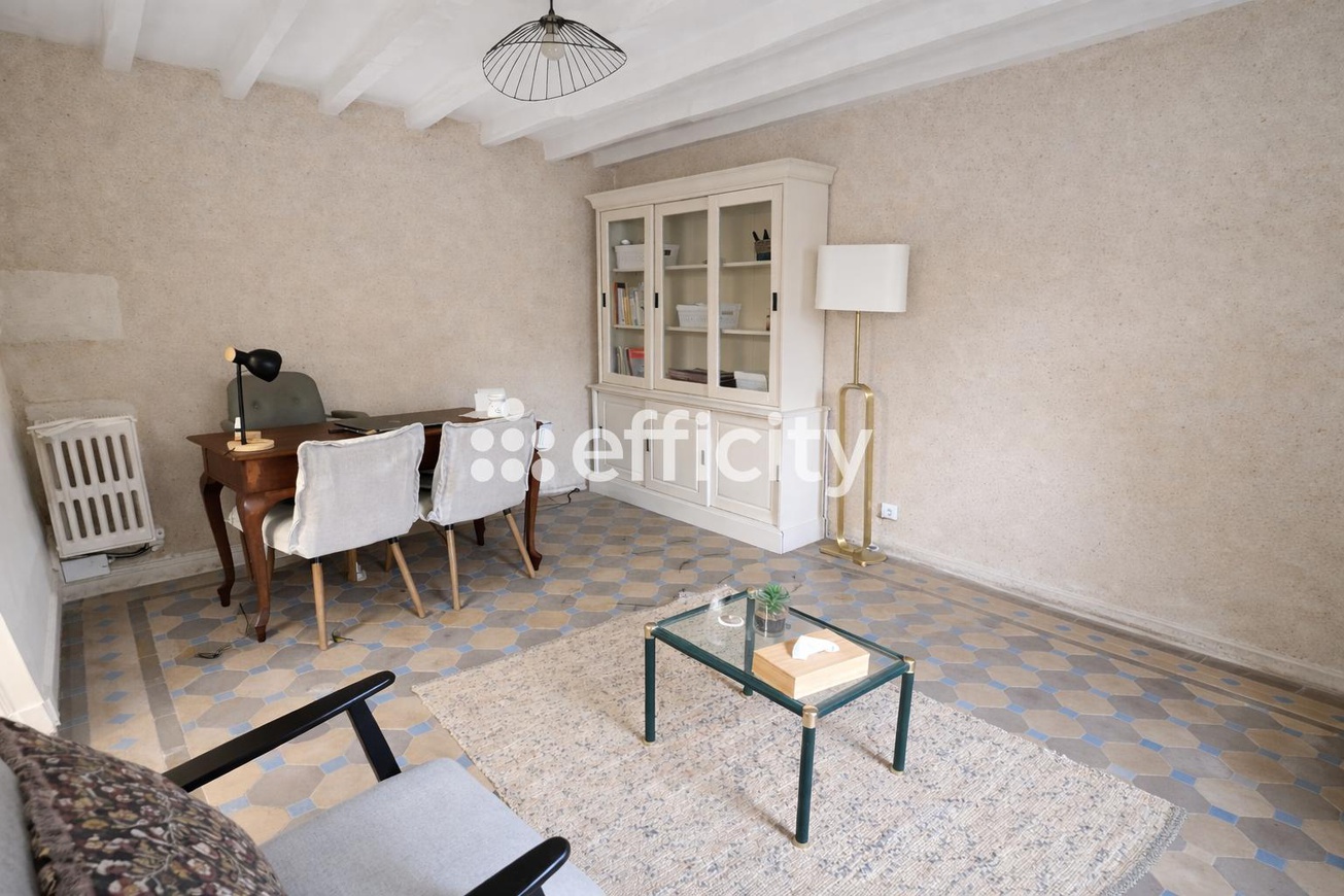 Achat immobilier Maison 8 pièces  208m2 à Neuillé-Pont-Pierre (37360) - Photo n°14