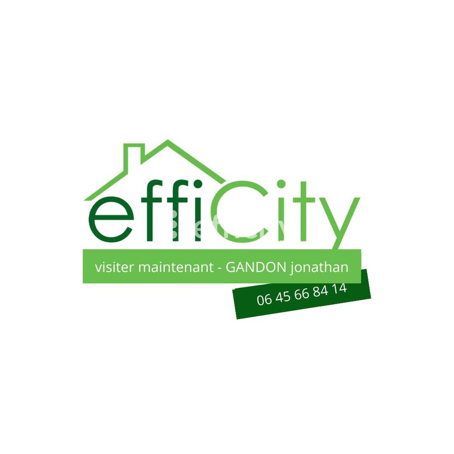 Achat immobilier Maison 8 pièces  208m2 à Neuillé-Pont-Pierre (37360) - Photo n°4