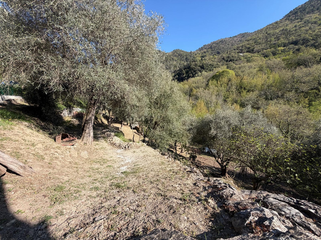 Achat immobilier Maison 4 pièces  125m2 à Saint-Blaise (06670) - Photo n°11