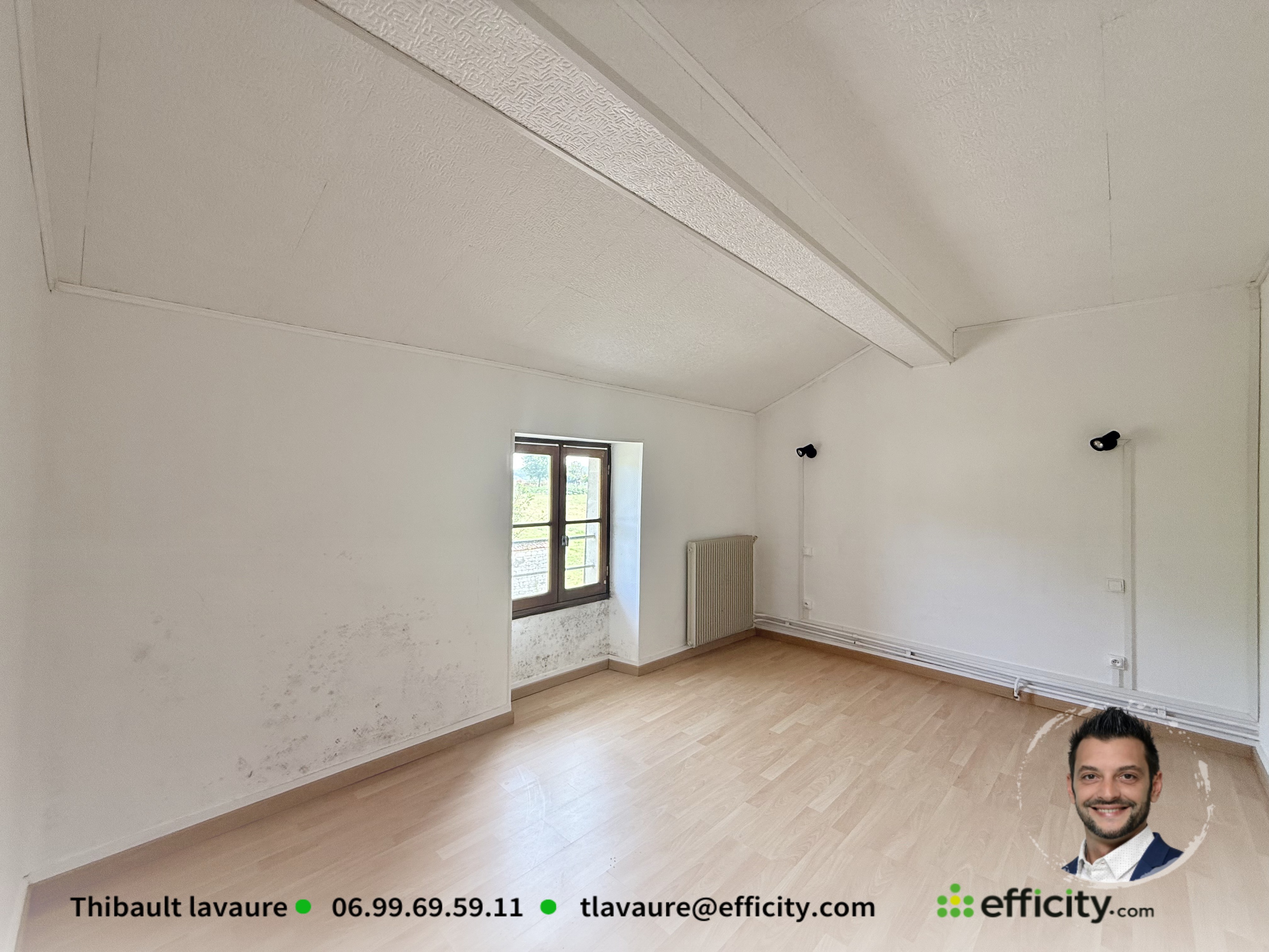 Achat immobilier Maison 6 pièces  193m2 à Rouillac (16170) - Photo n°5