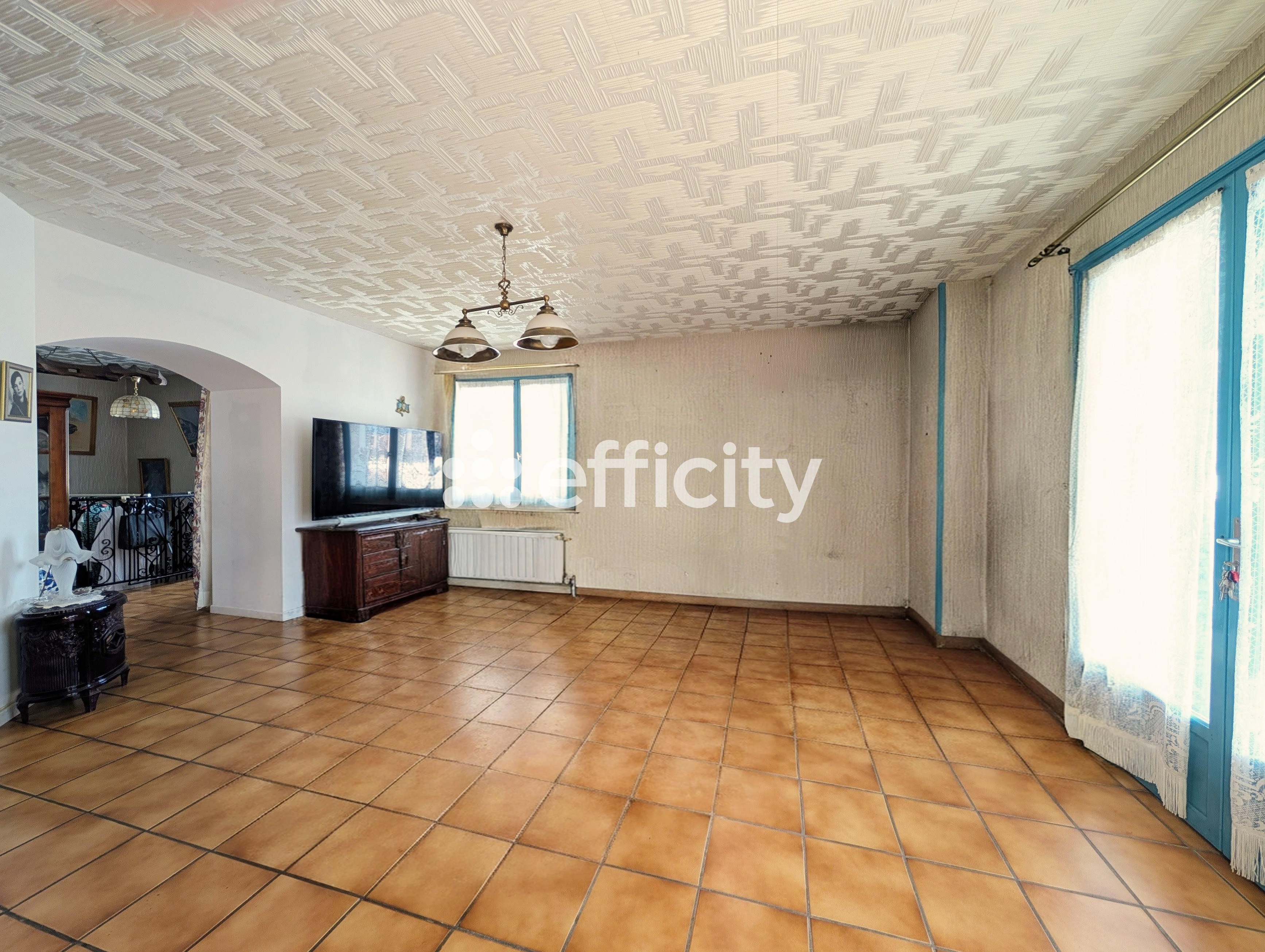 Achat immobilier Appartement 6 pièces  160m2 à Rives (38140) - Photo n°8