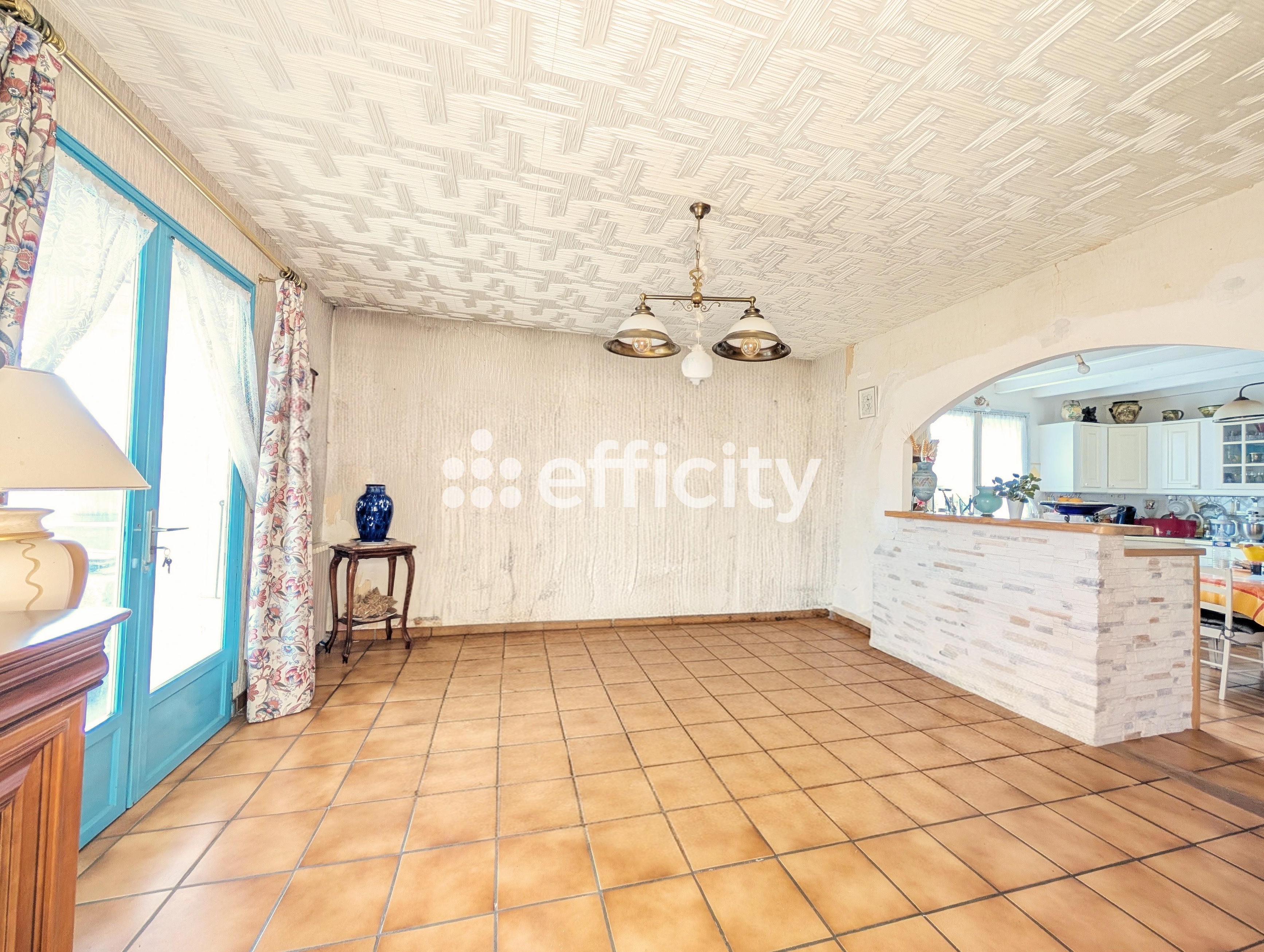 Achat immobilier Appartement 6 pièces  160m2 à Rives (38140) - Photo n°5