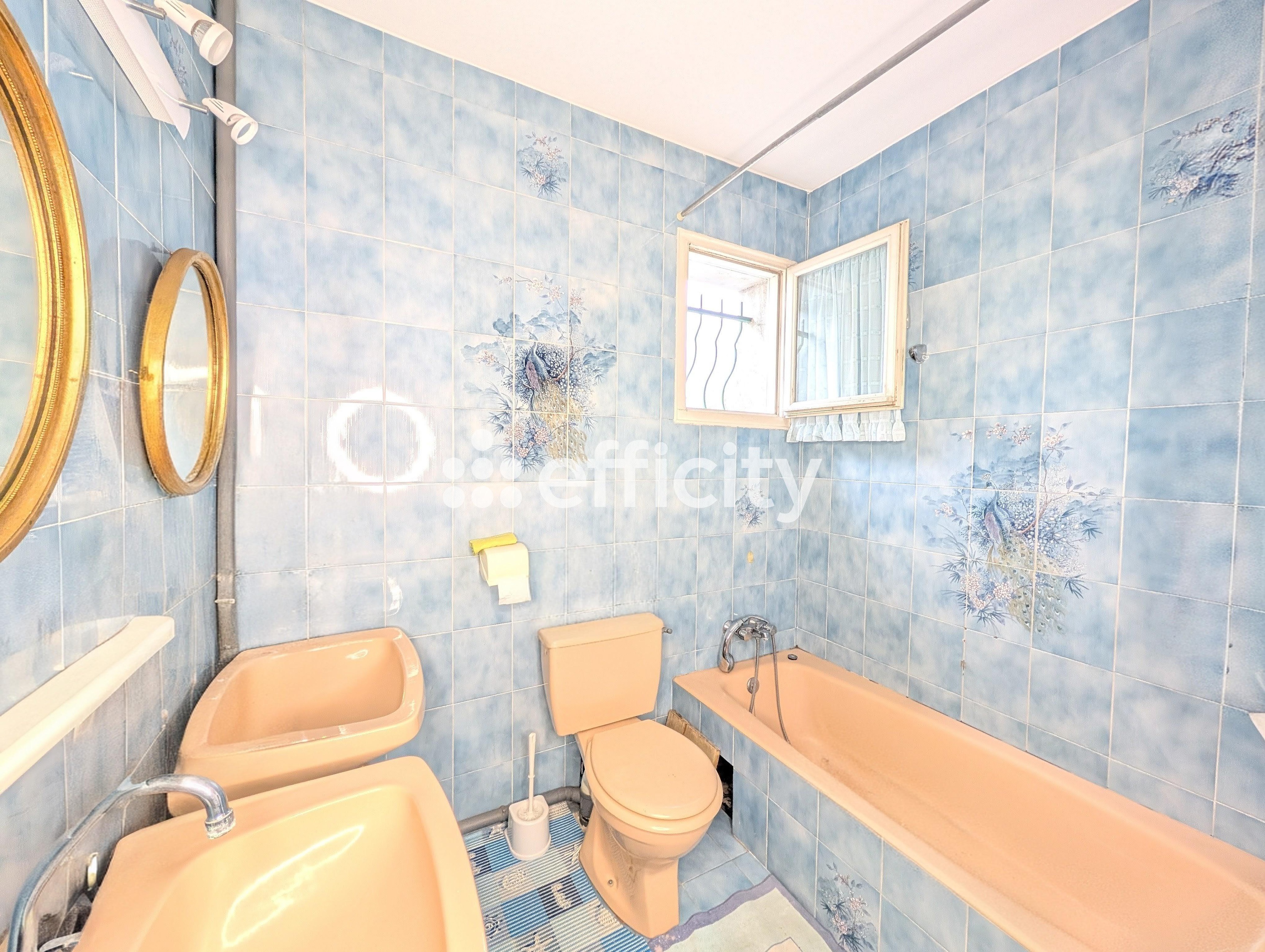 Achat immobilier Appartement 6 pièces  160m2 à Rives (38140) - Photo n°11