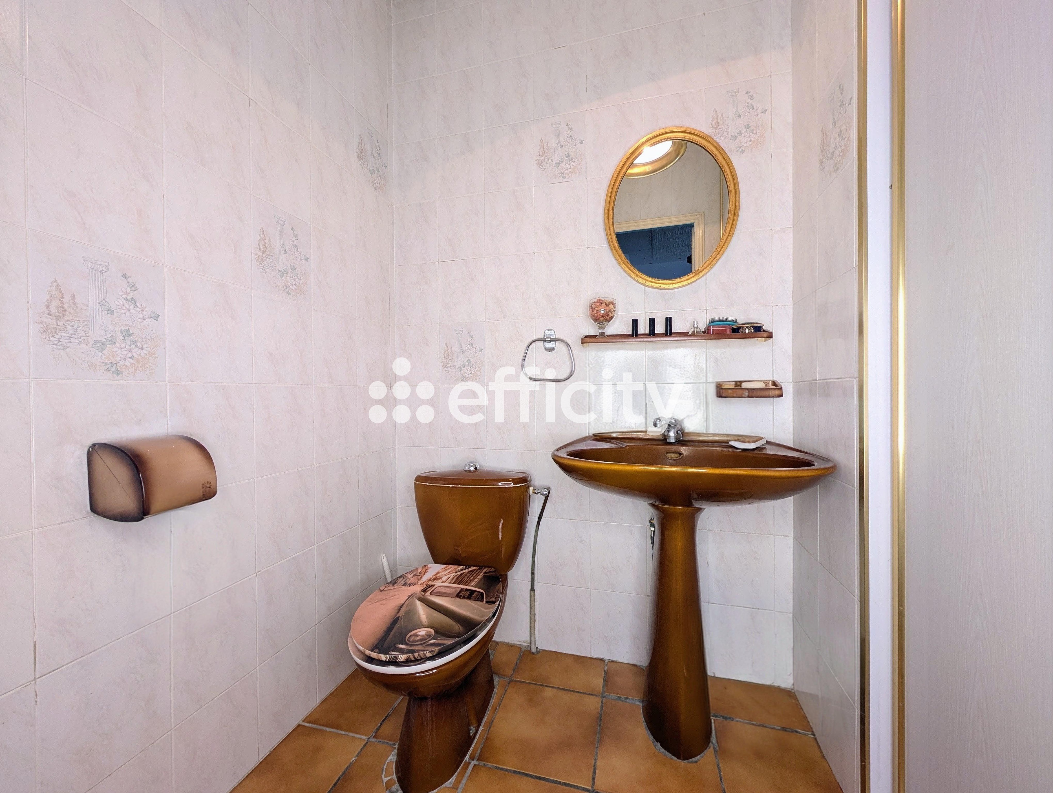 Achat immobilier Appartement 6 pièces  160m2 à Rives (38140) - Photo n°13