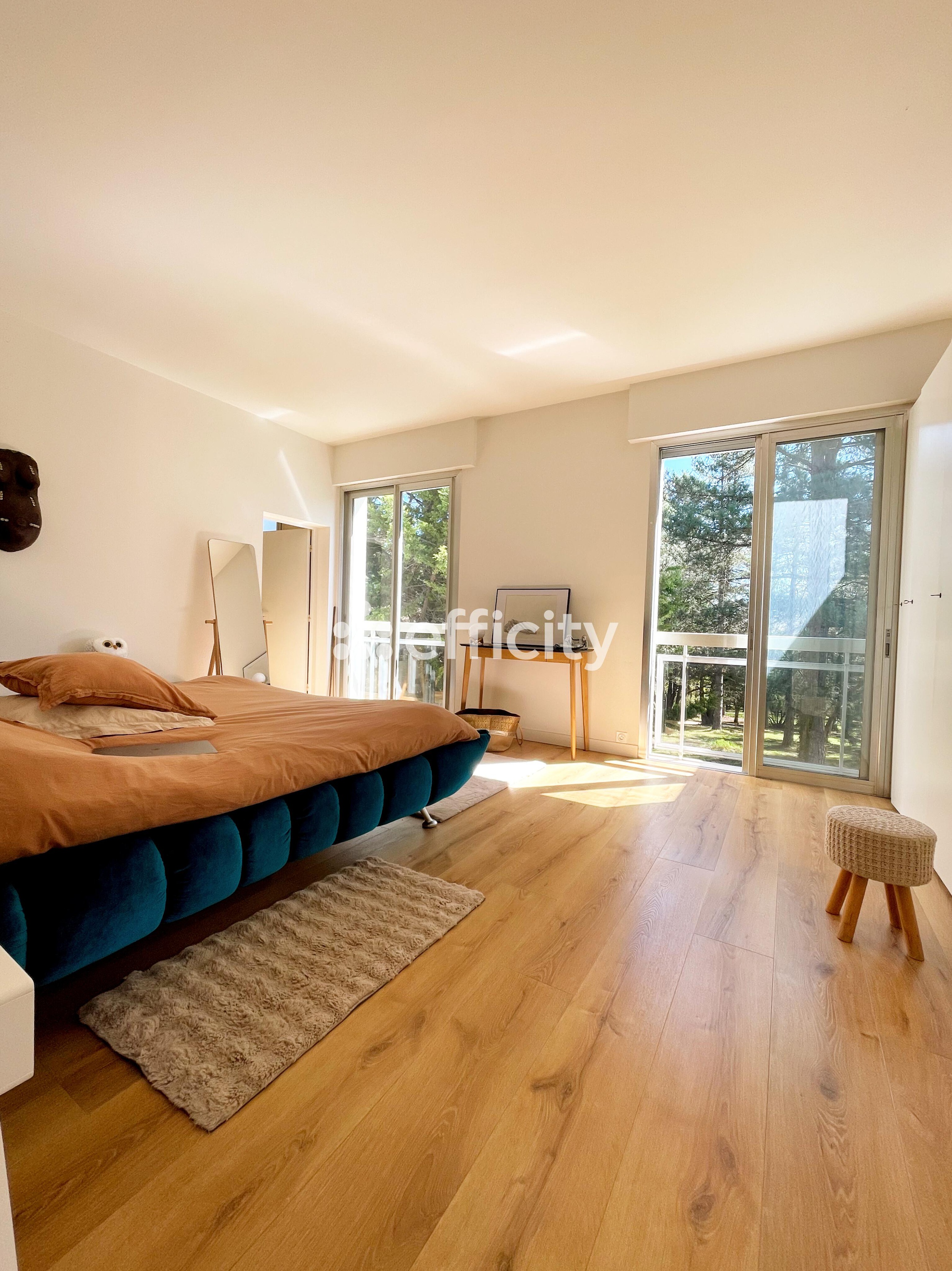 Achat immobilier Maison 5 pièces  180m2 à Aigues-Vives (09600) - Photo n°4