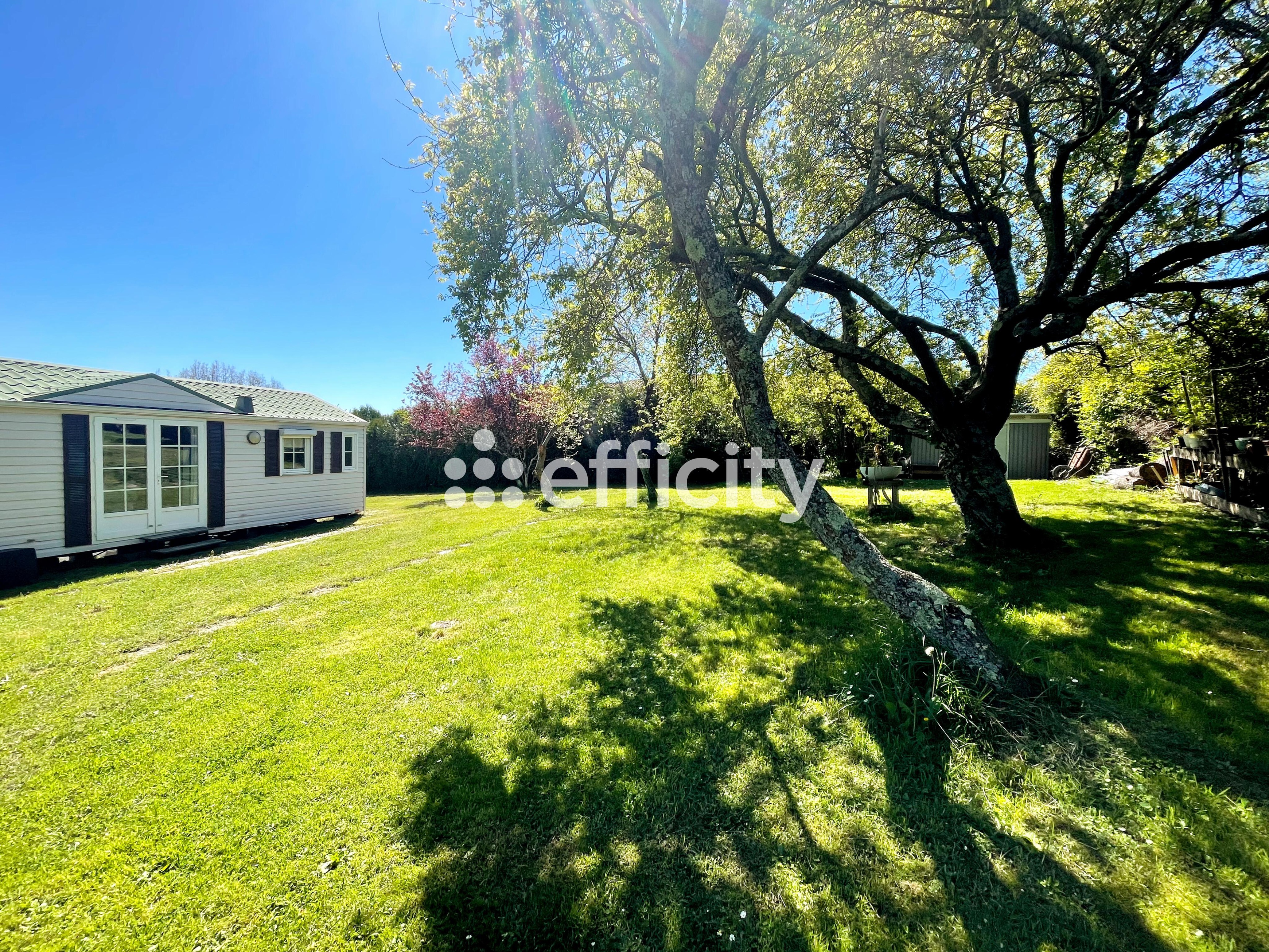 Achat immobilier Maison 5 pièces  180m2 à Aigues-Vives (09600) - Photo n°11