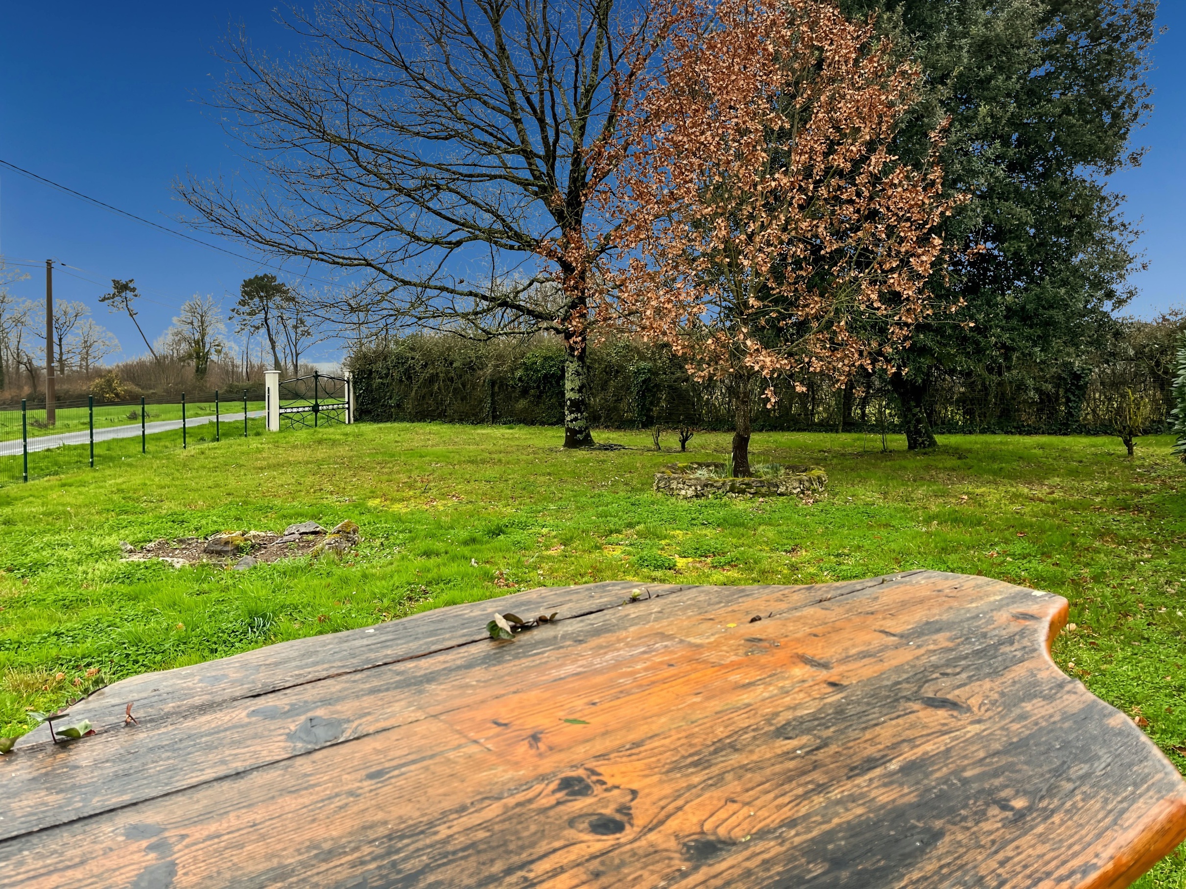 Achat immobilier Maison 9 pièces  183m2 à Chérac (17610) - Photo n°21