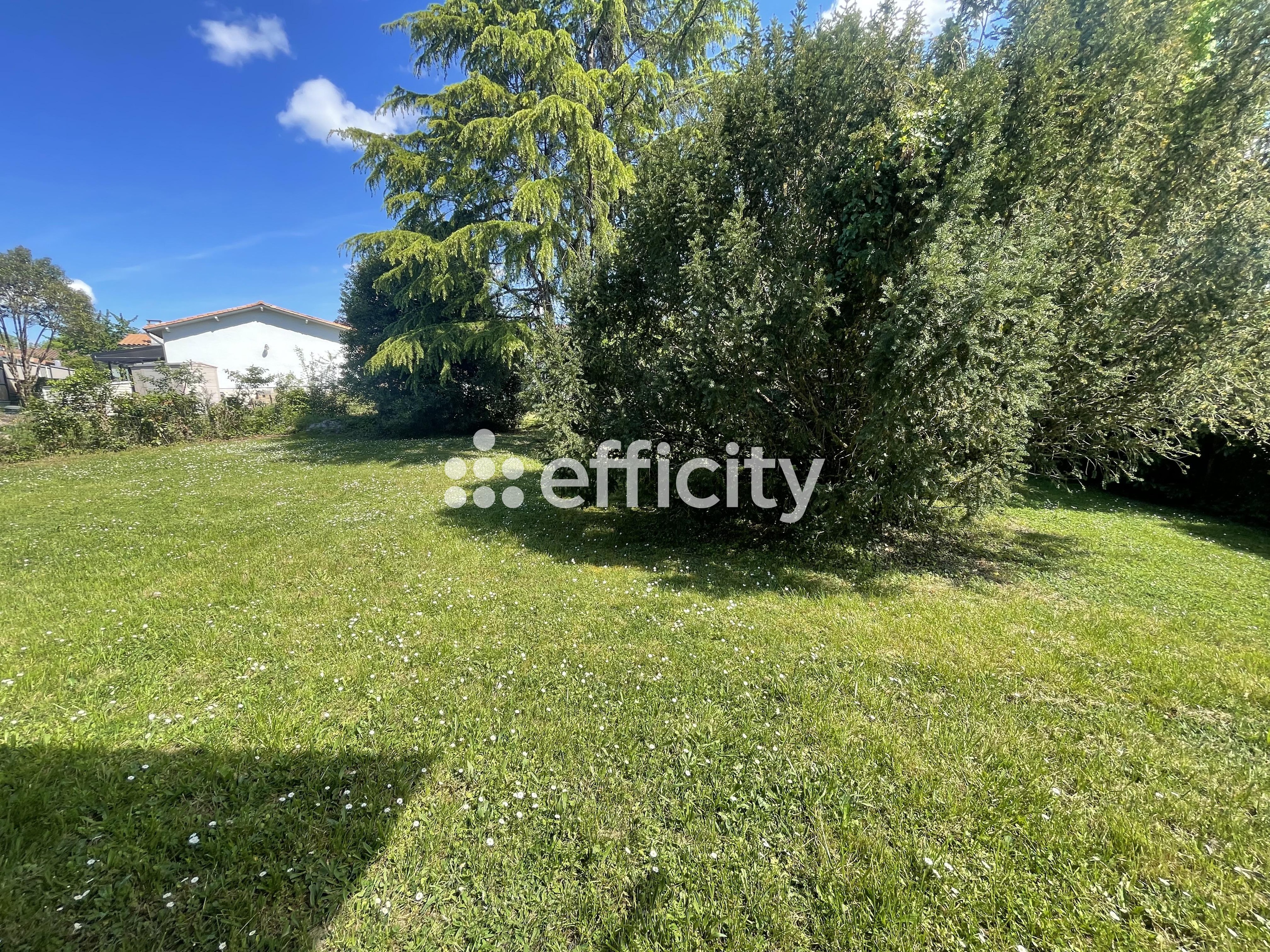 Achat immobilier Maison 5 pièces  138m2 à Blanquefort (33290) - Photo n°4