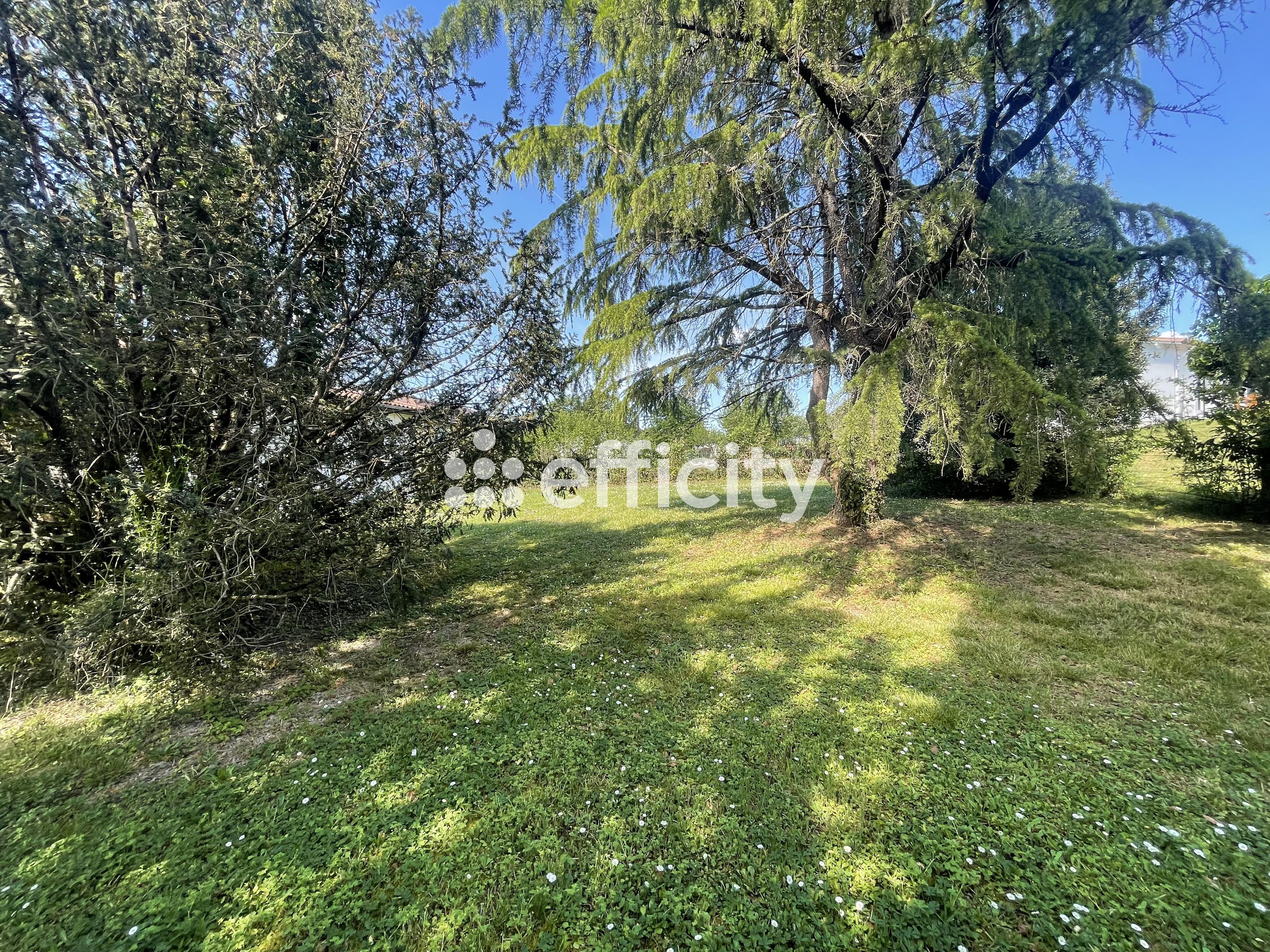 Achat immobilier Maison 5 pièces  138m2 à Blanquefort (33290) - Photo n°7
