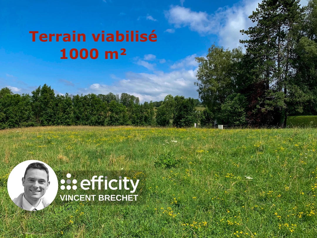 terrain  - 1000m2 à Allonzier-la-Caille (74350)