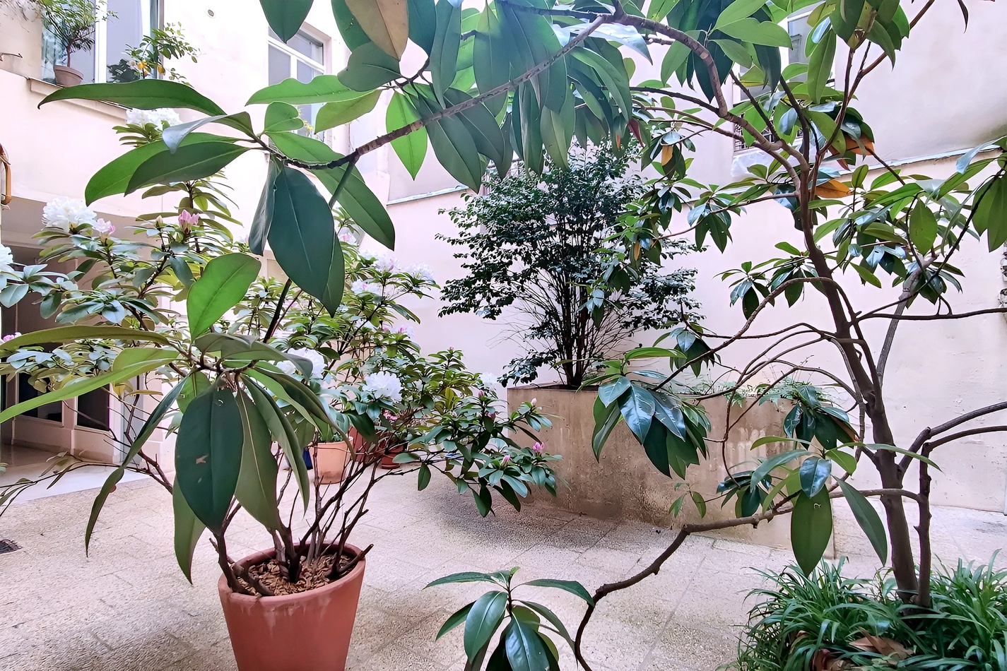 appartement 1 pièces - 26m2 à Paris (75002)