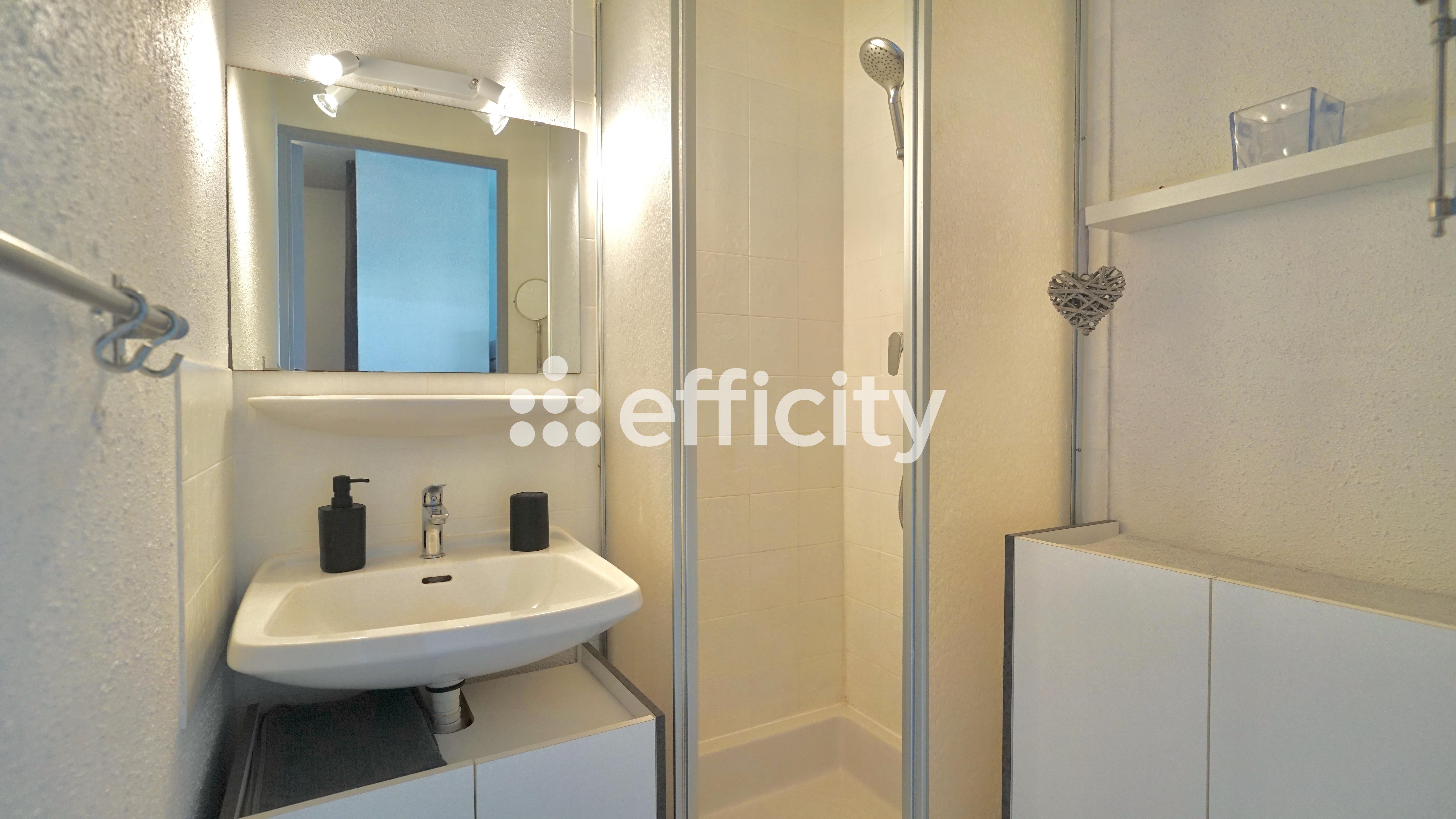 Achat immobilier Appartement 2 pièces  27m2 à Le Grau-du-Roi (30240) - Photo n°6