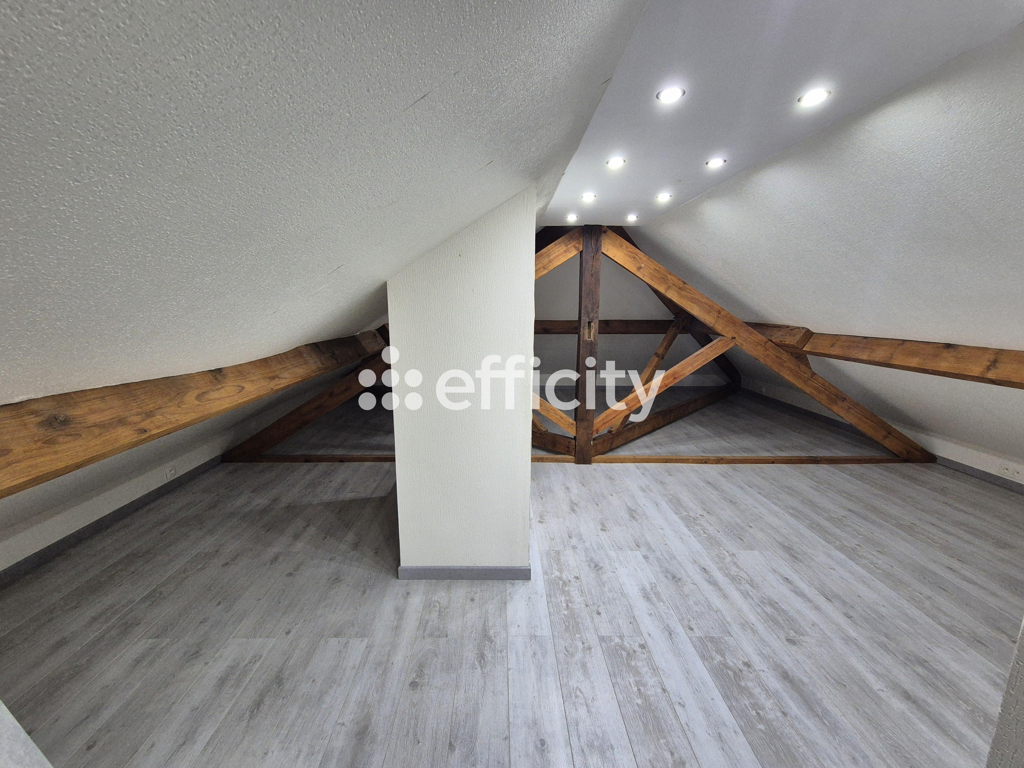 Achat immobilier Maison 5 pièces  145m2 à Le Controis-en-Sologne (41700) - Photo n°17