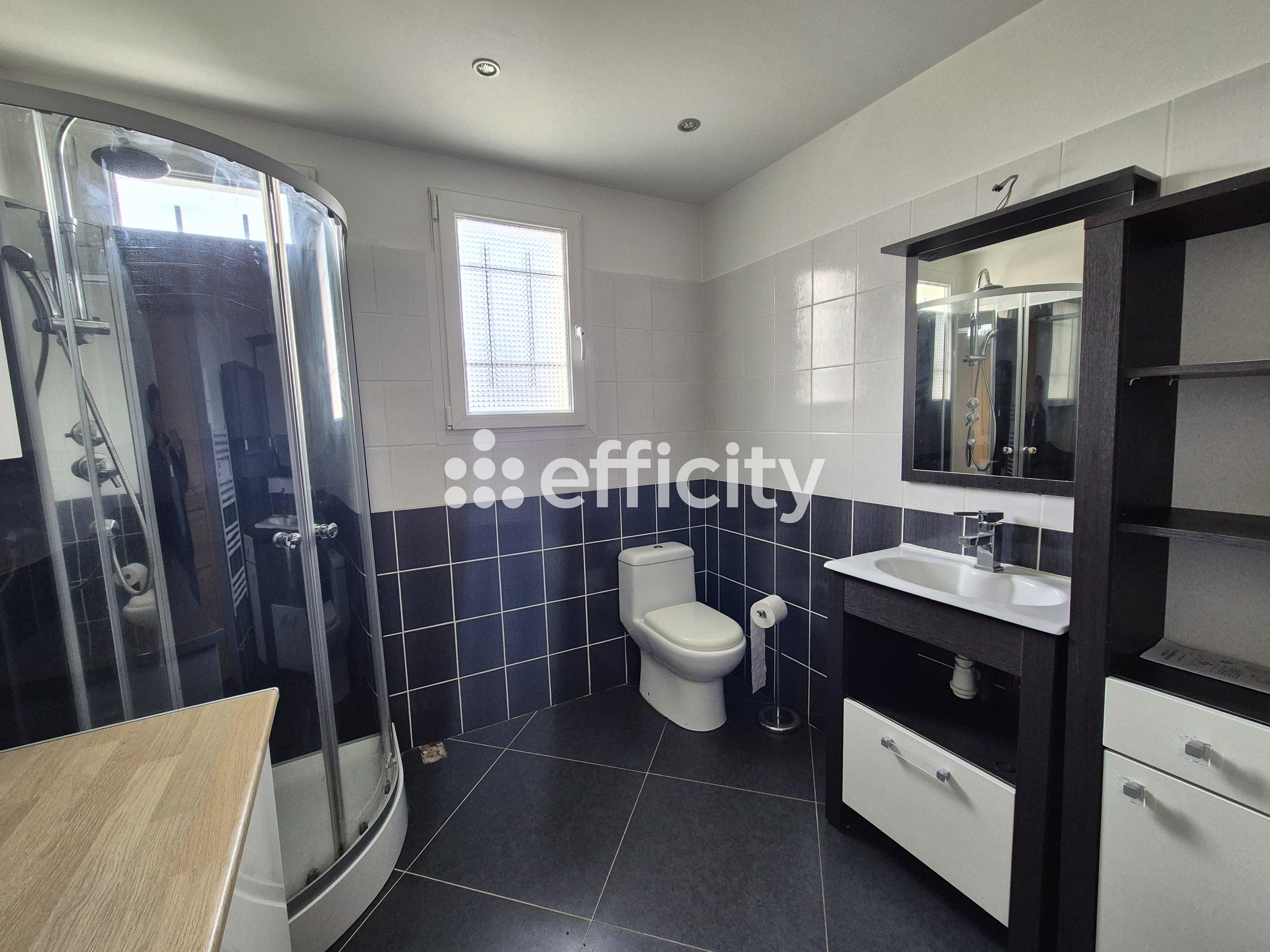 Achat immobilier Maison 5 pièces  145m2 à Le Controis-en-Sologne (41700) - Photo n°7