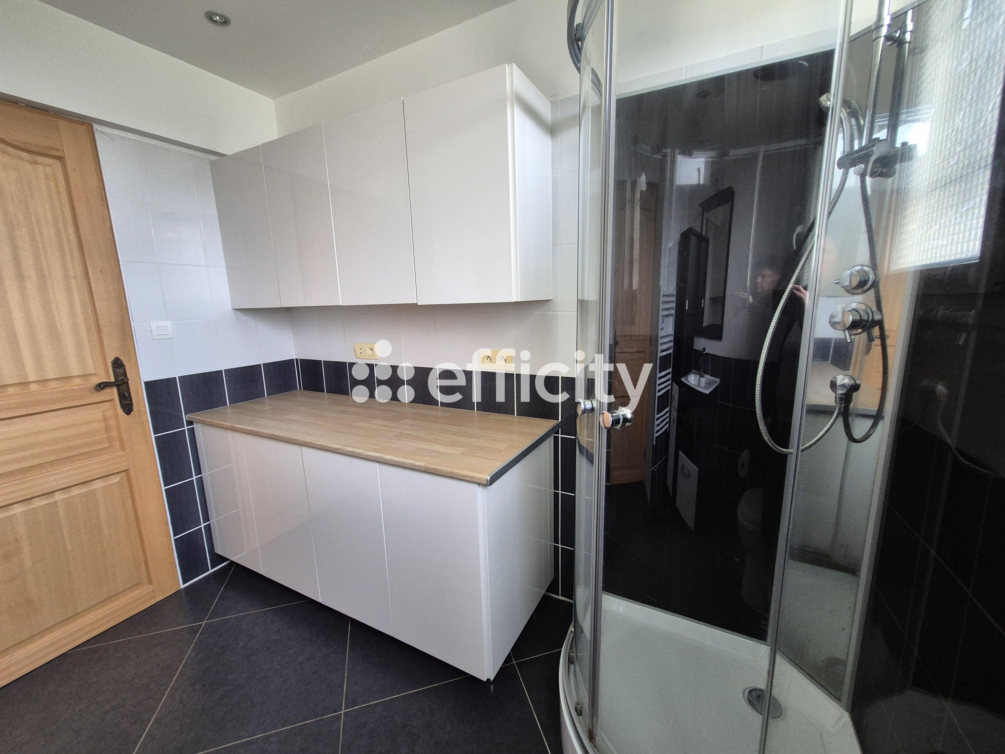 Achat immobilier Maison 5 pièces  145m2 à Le Controis-en-Sologne (41700) - Photo n°8