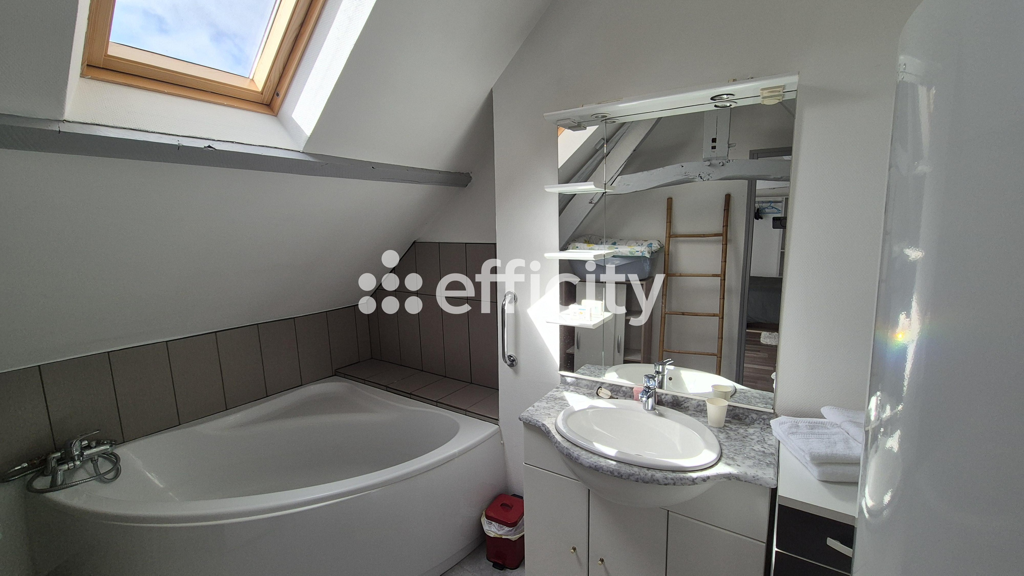 Achat immobilier Maison 8 pièces  230m2 à Le Molay-Littry (14330) - Photo n°25