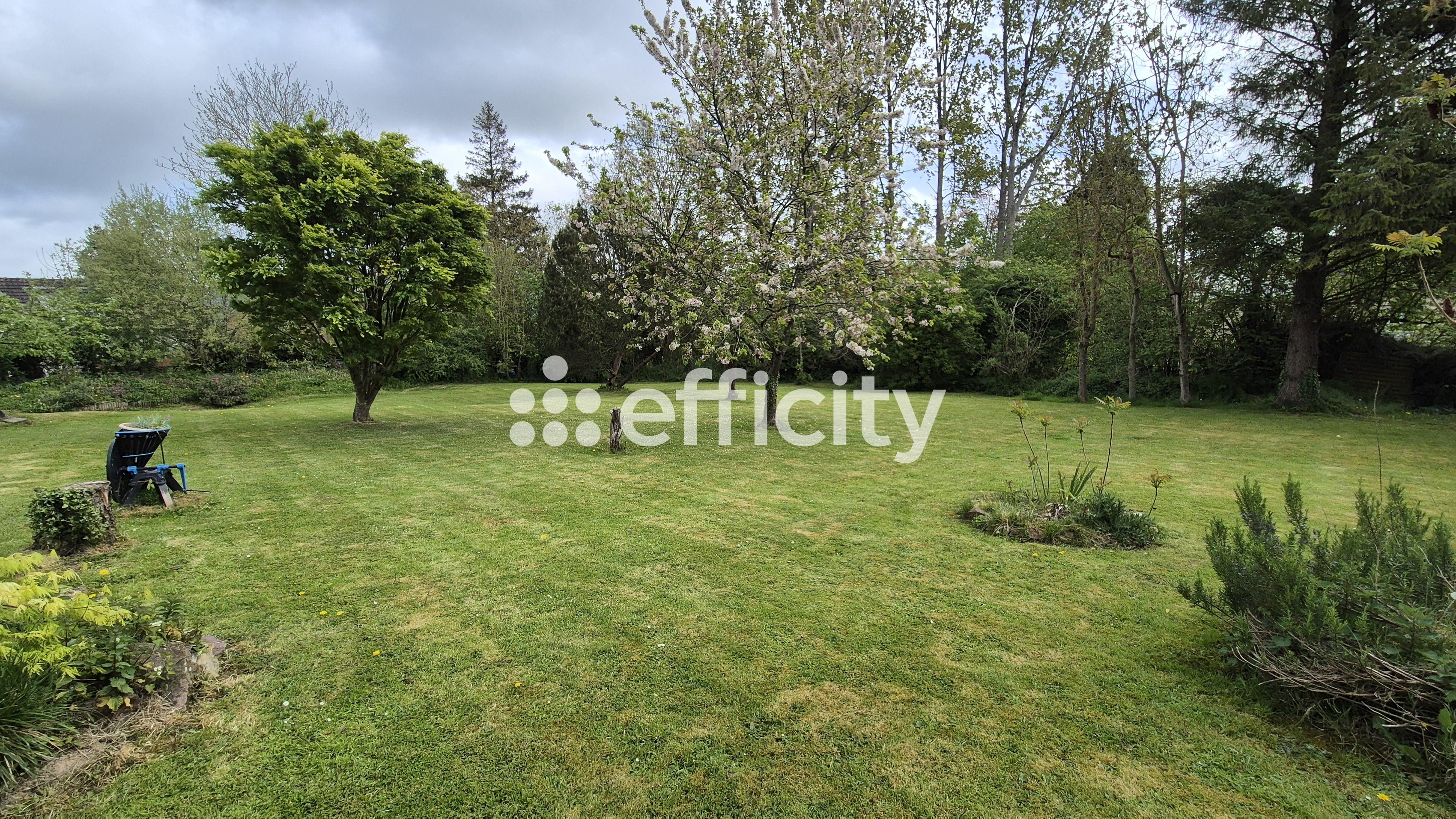 Achat immobilier Maison 8 pièces  230m2 à Le Molay-Littry (14330) - Photo n°4