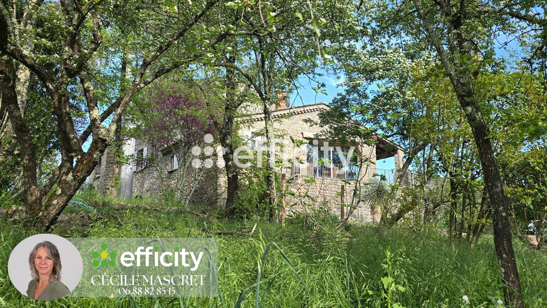 Achat immobilier Maison 5 pièces  198m2 à Les Vans (07140) - Photo n°16