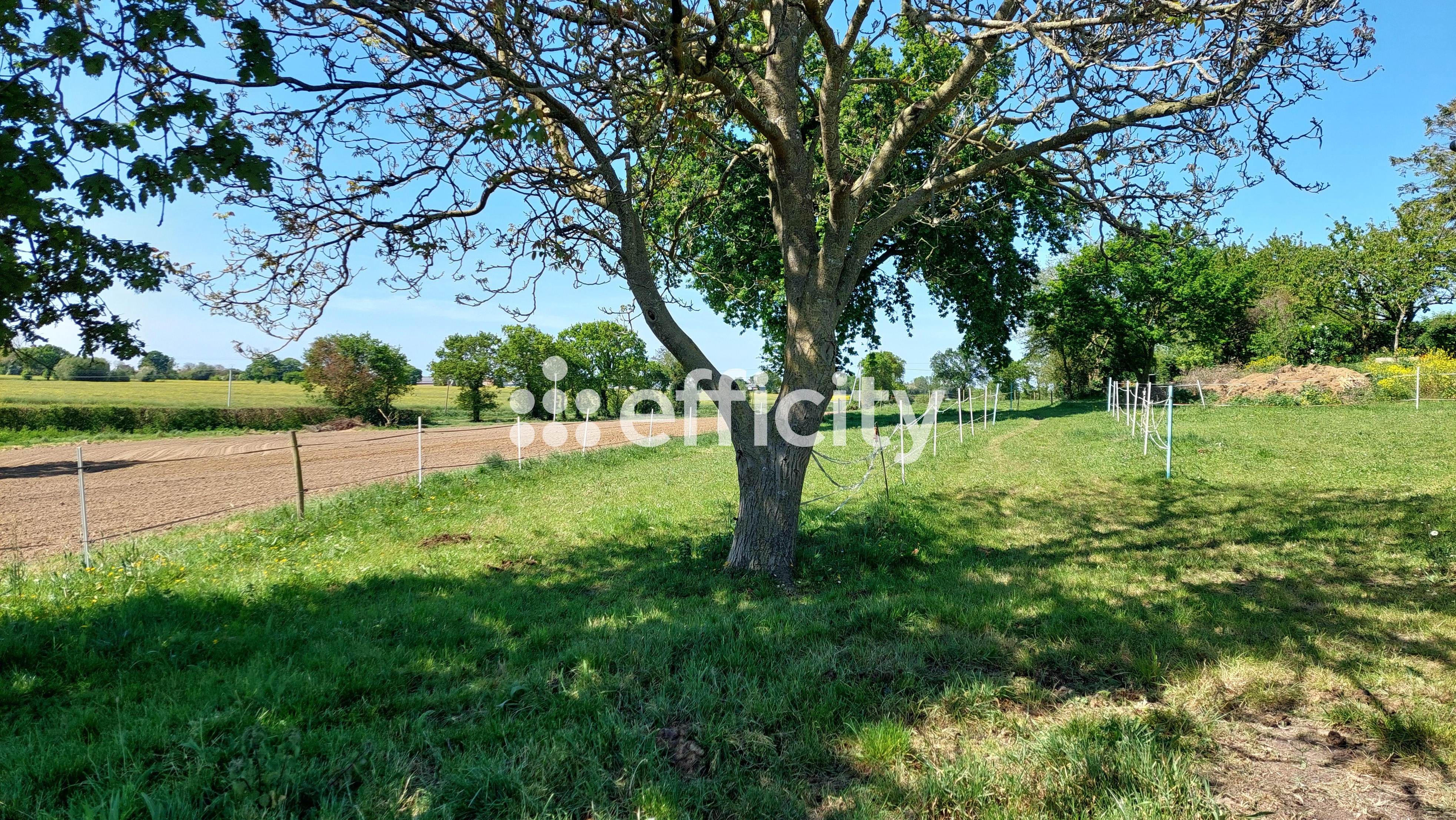 Achat immobilier Maison 4 pièces  73m2 à Plurien (22240) - Photo n°14