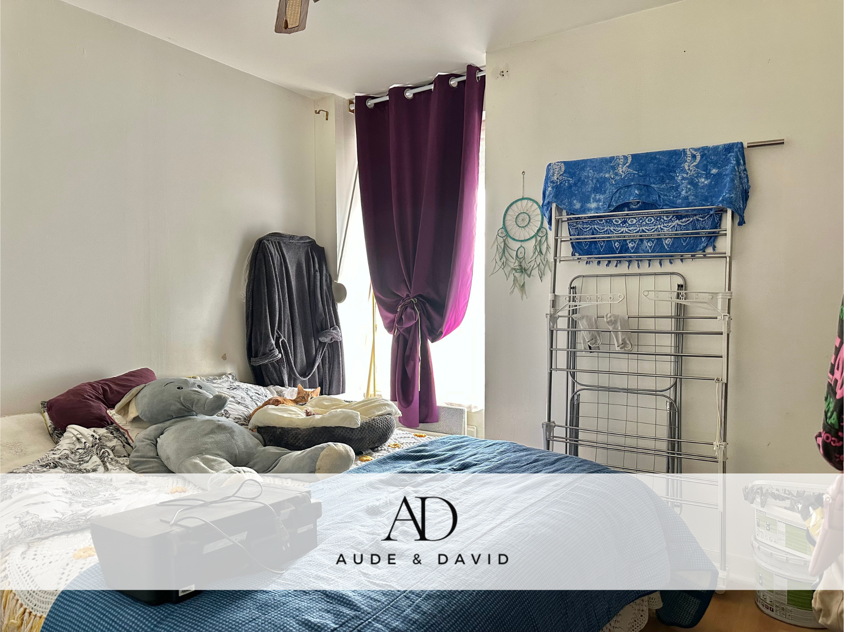 Achat immobilier Immeuble 9 pièces  130m2 à Quimper (29000) - Photo n°12