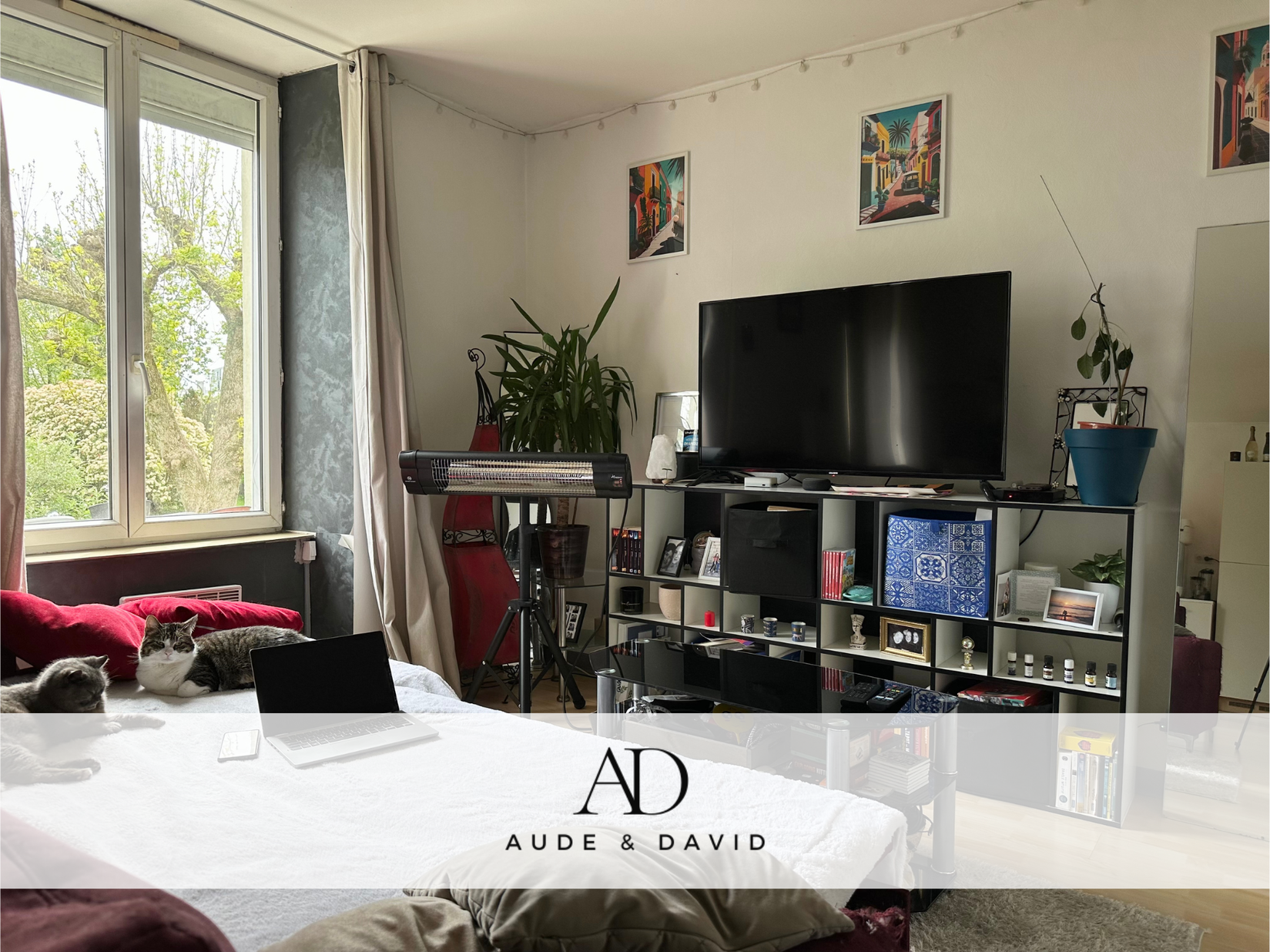 Achat immobilier Immeuble 9 pièces  130m2 à Quimper (29000) - Photo n°23