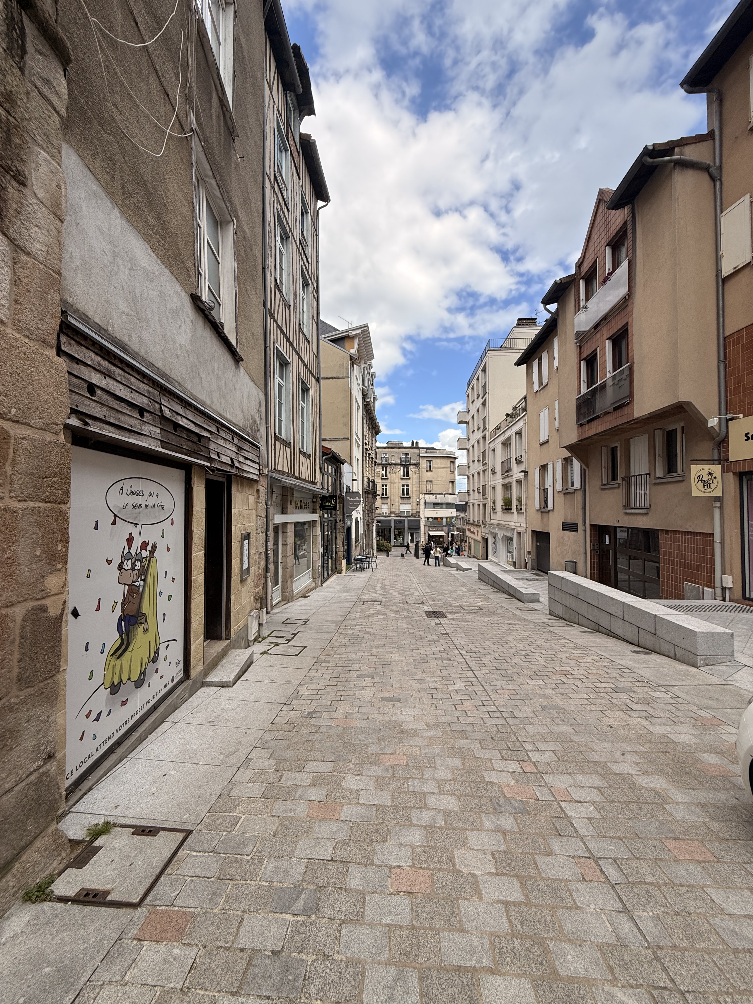 Appartement - Limoges