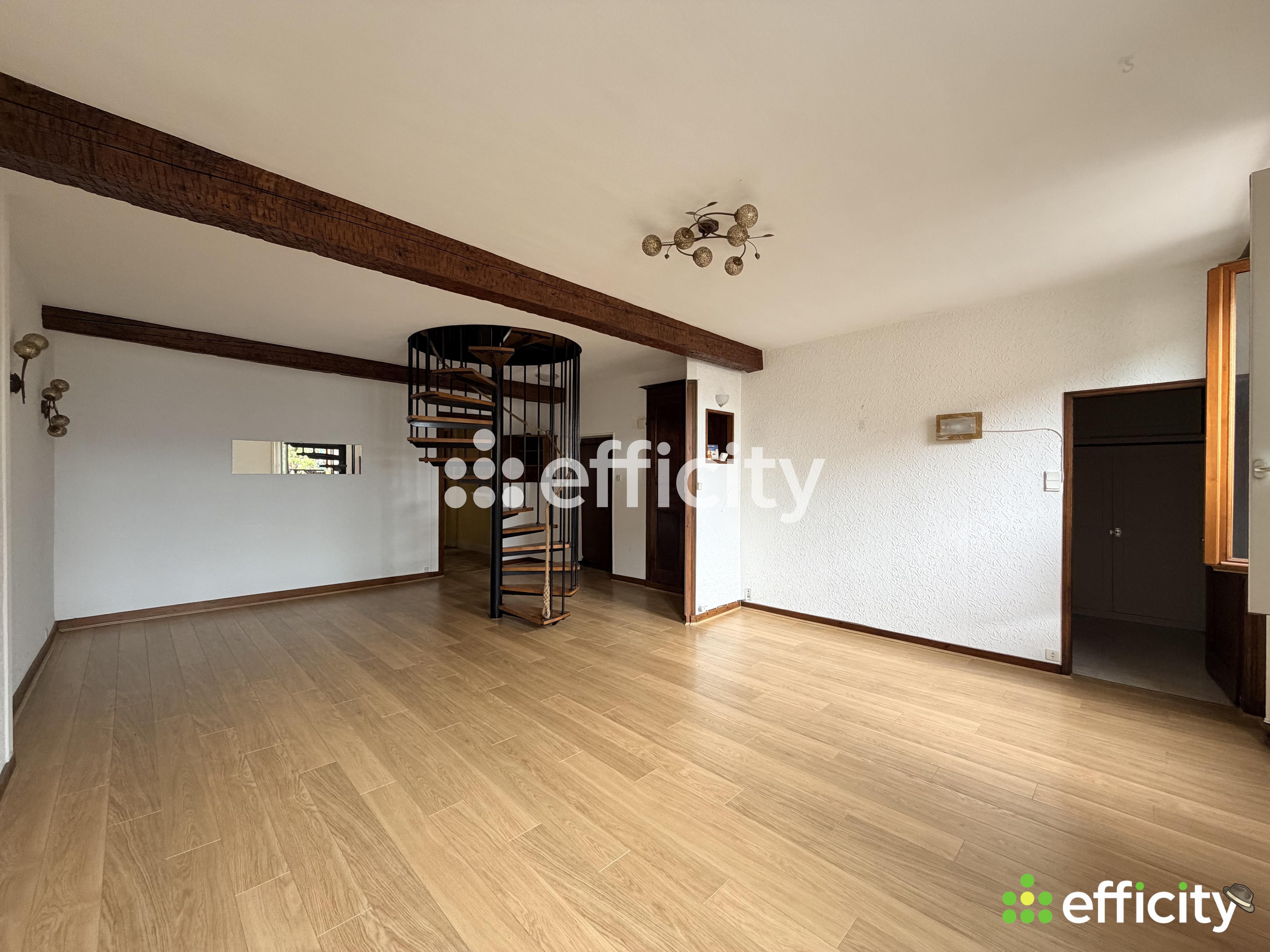 Achat immobilier Appartement 7 pièces  173m2 à Tullins (38210) - Photo n°6