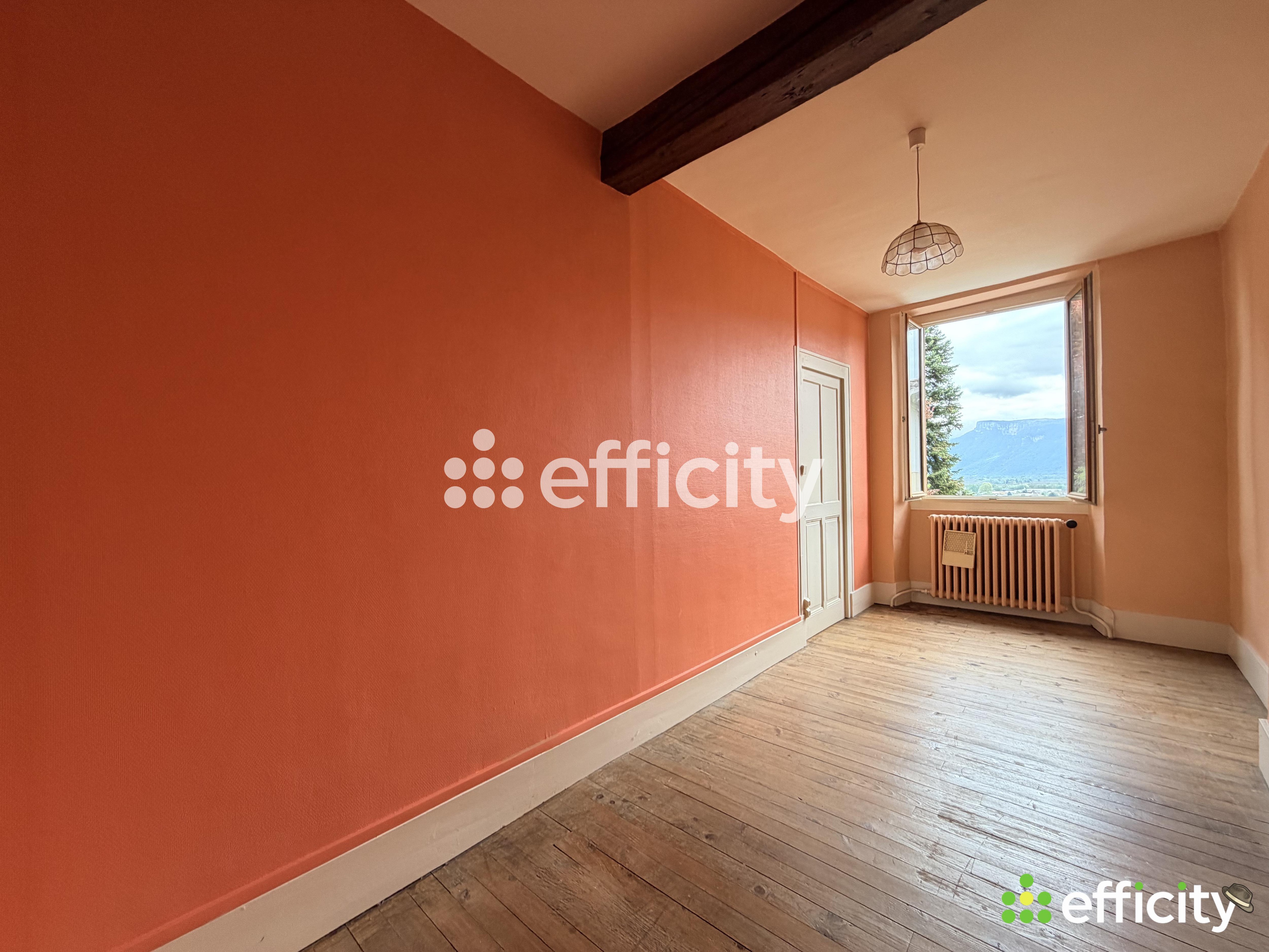 Achat immobilier Appartement 7 pièces  173m2 à Tullins (38210) - Photo n°12