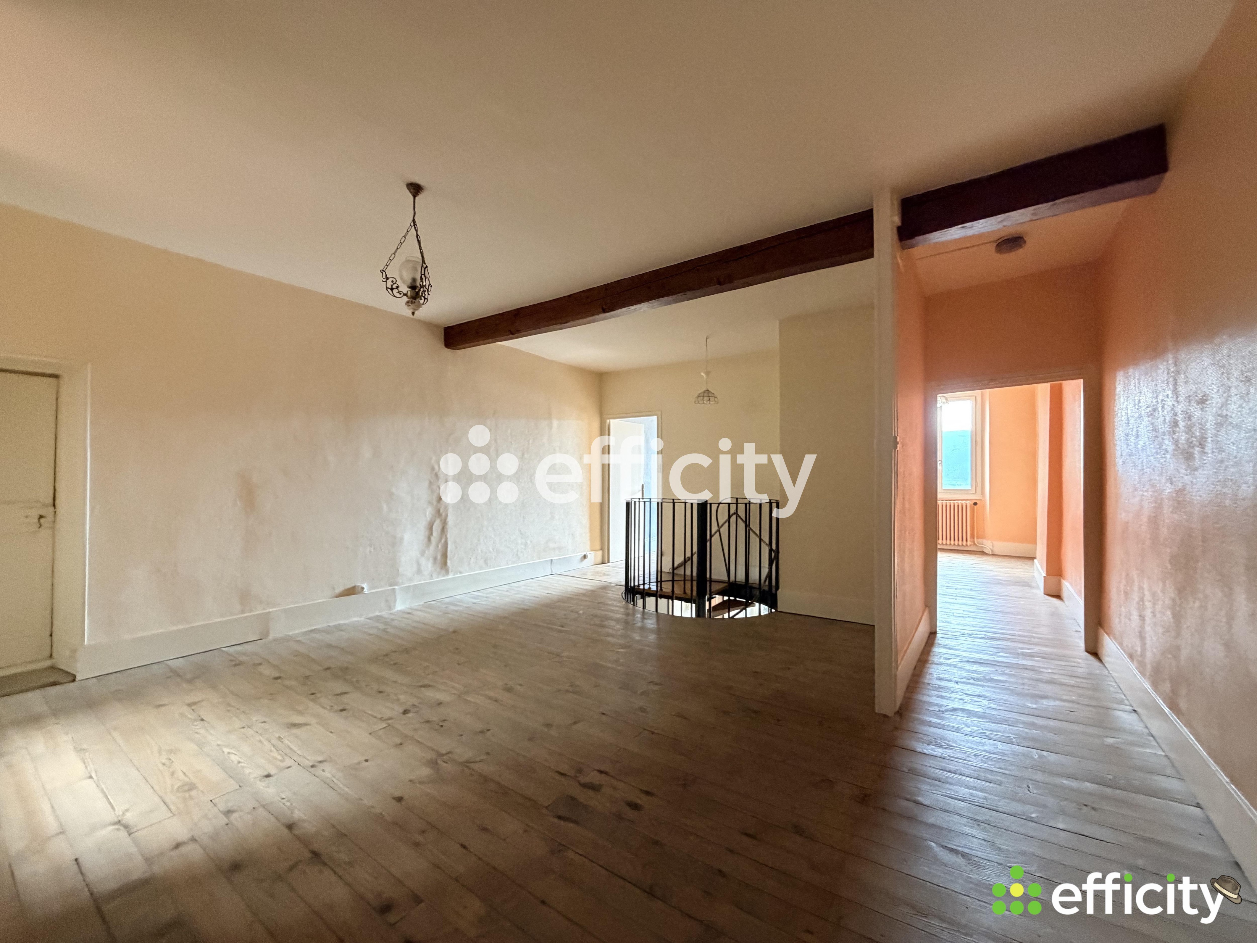 Achat immobilier Appartement 7 pièces  173m2 à Tullins (38210) - Photo n°13