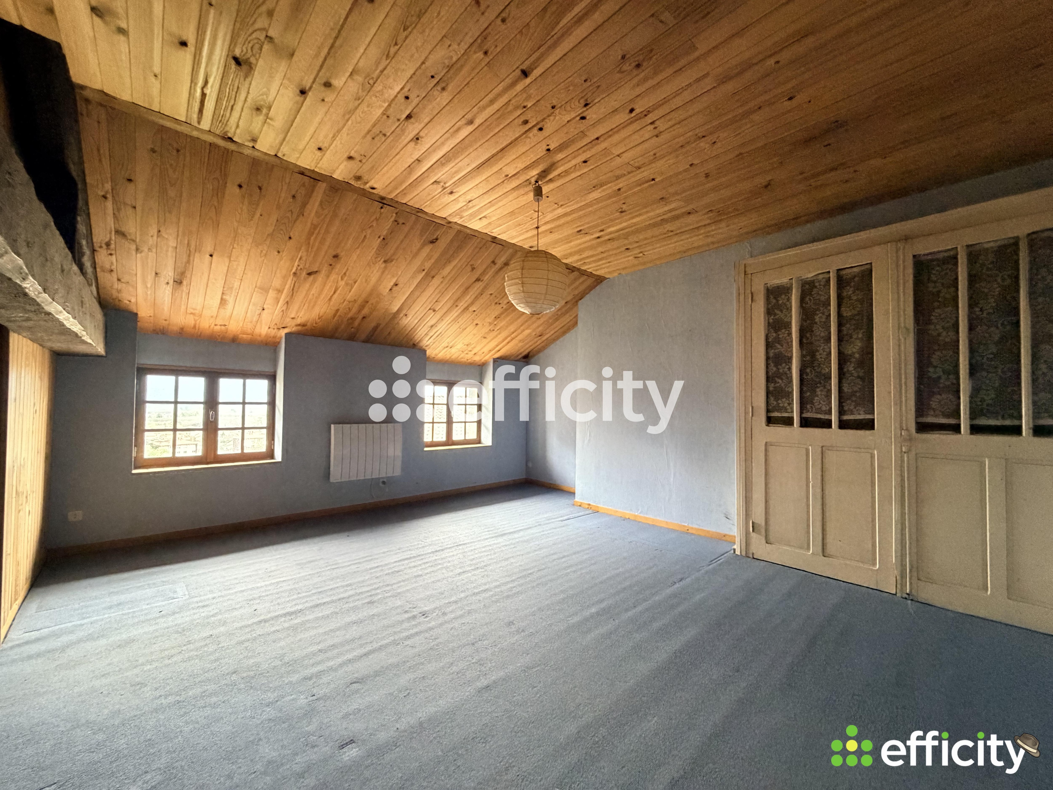 Achat immobilier Appartement 7 pièces  173m2 à Tullins (38210) - Photo n°16
