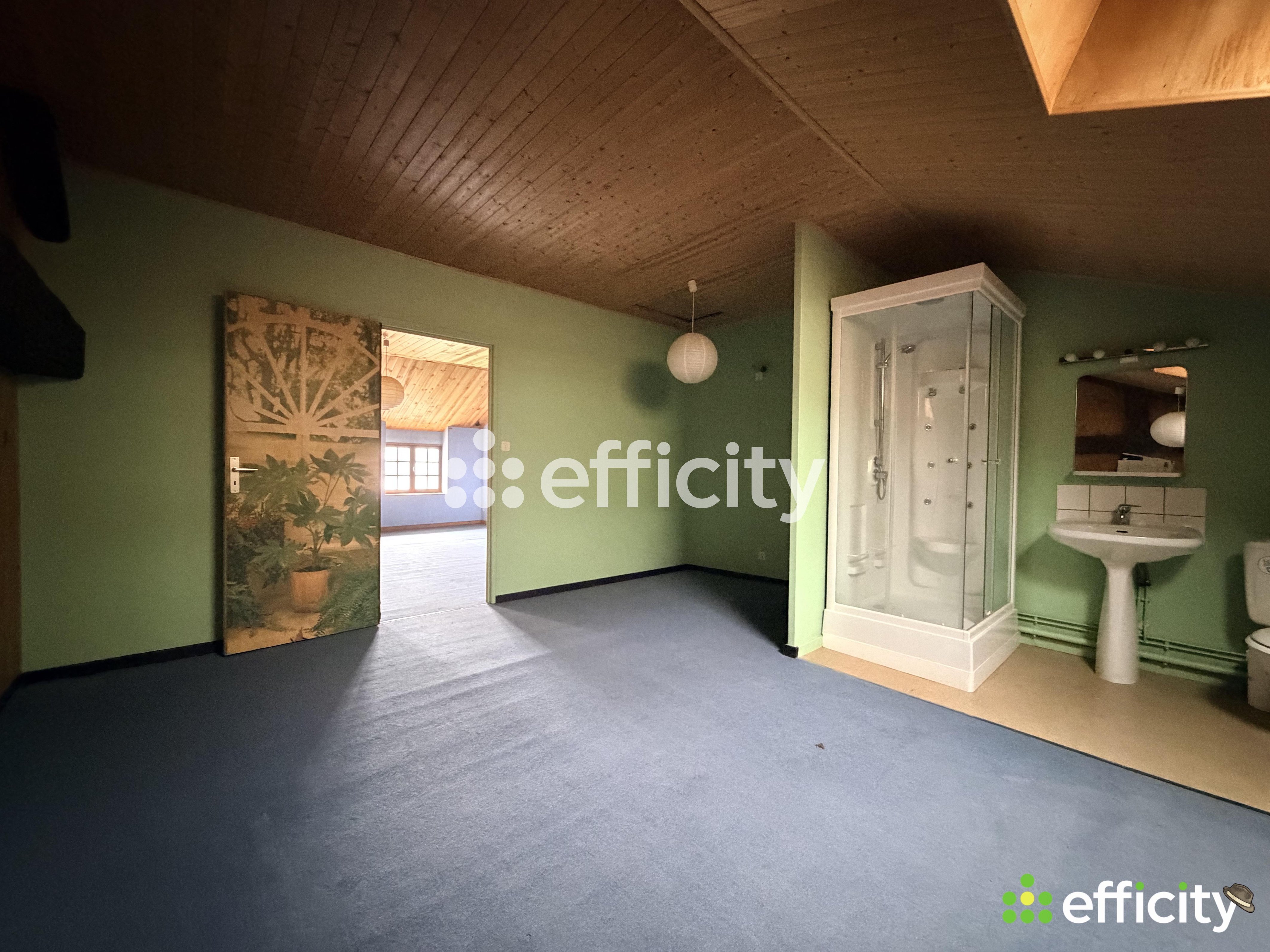 Achat immobilier Appartement 7 pièces  173m2 à Tullins (38210) - Photo n°17