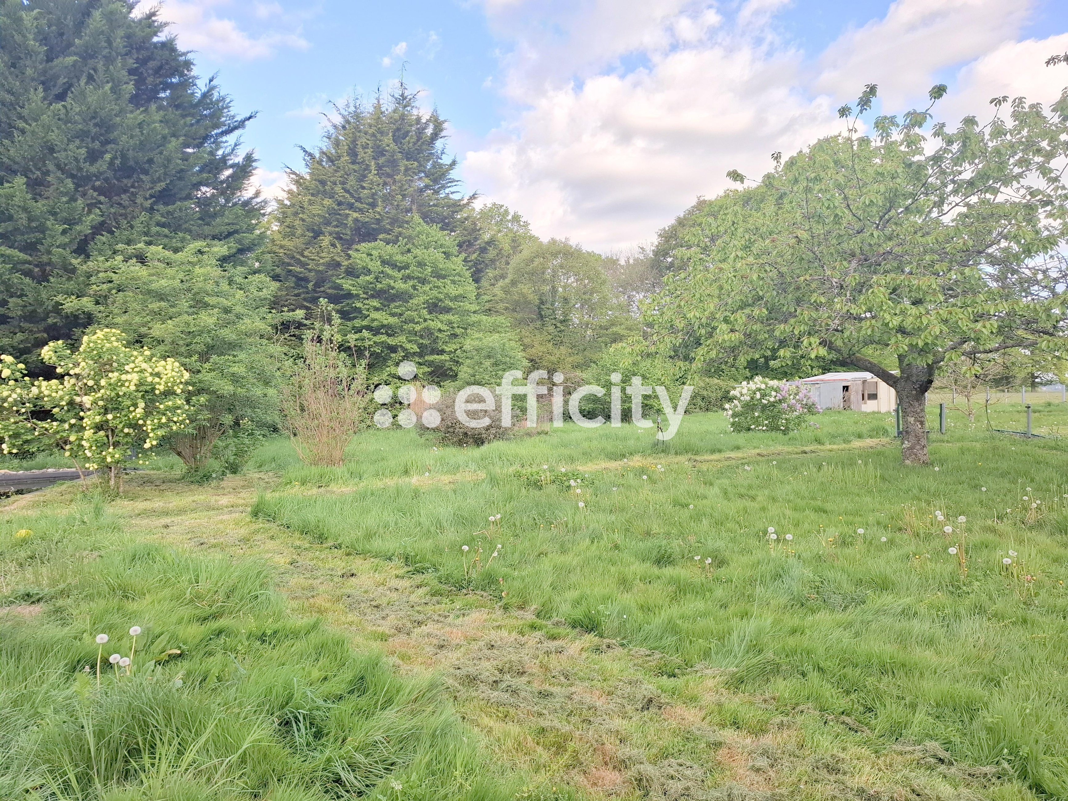 Achat immobilier Maison 5 pièces  93m2 à Montireau (28240) - Photo n°10
