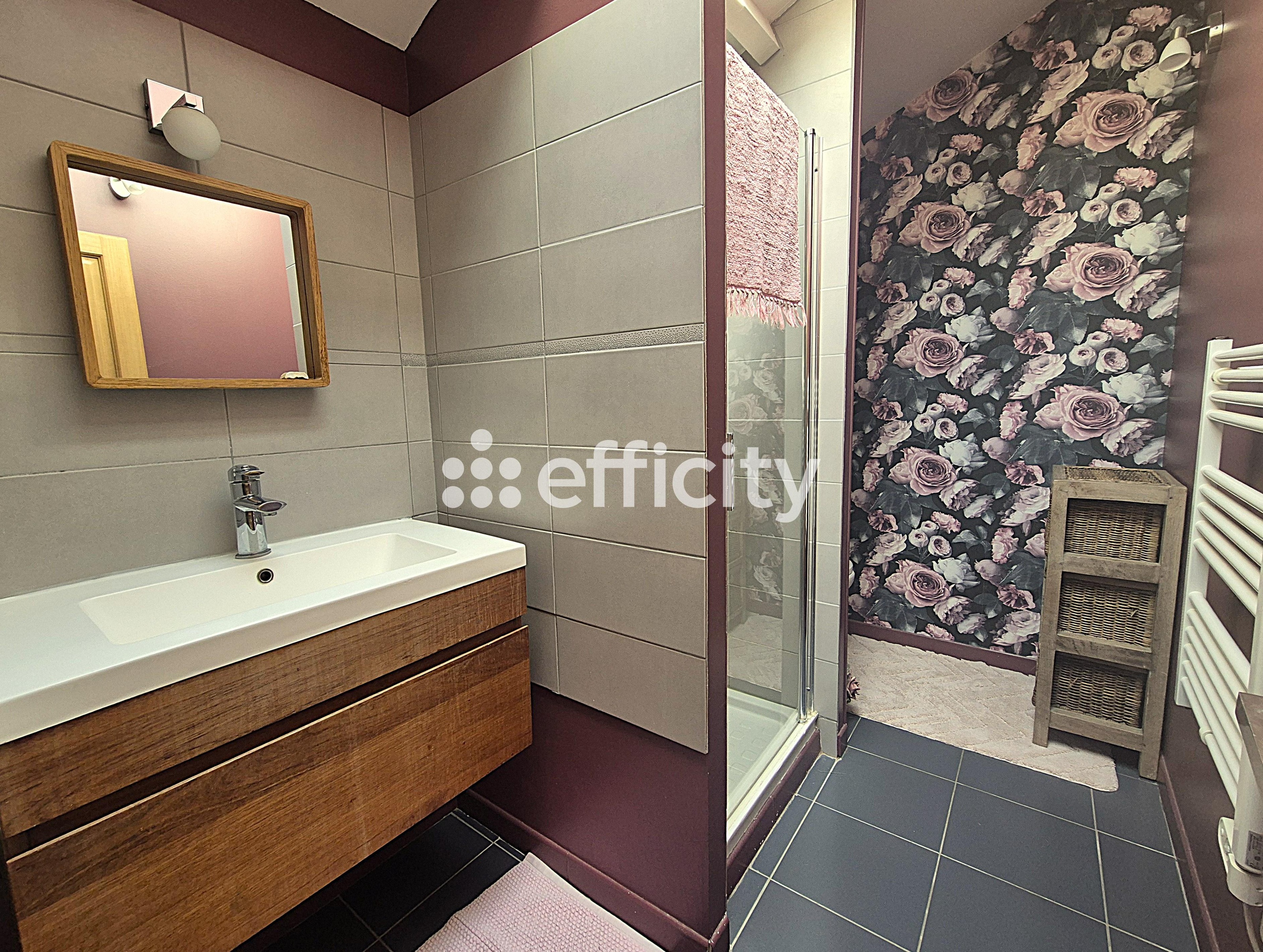 Achat immobilier Maison 5 pièces  169m2 à Saujon (17600) - Photo n°21
