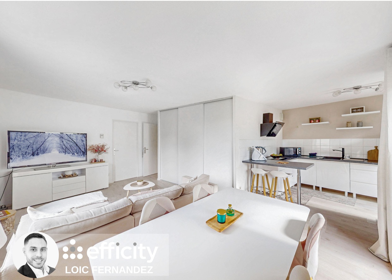 appartement 2 pièces - 48m2 à Villeurbanne (69100)