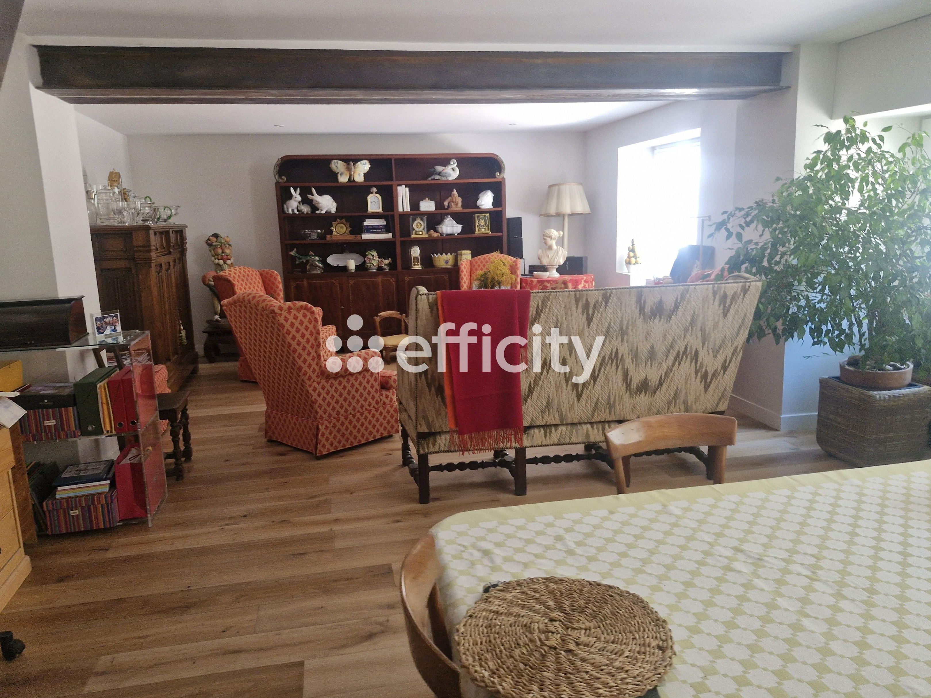 Achat immobilier Maison 6 pièces  257m2 à Vernioz (38150) - Photo n°8