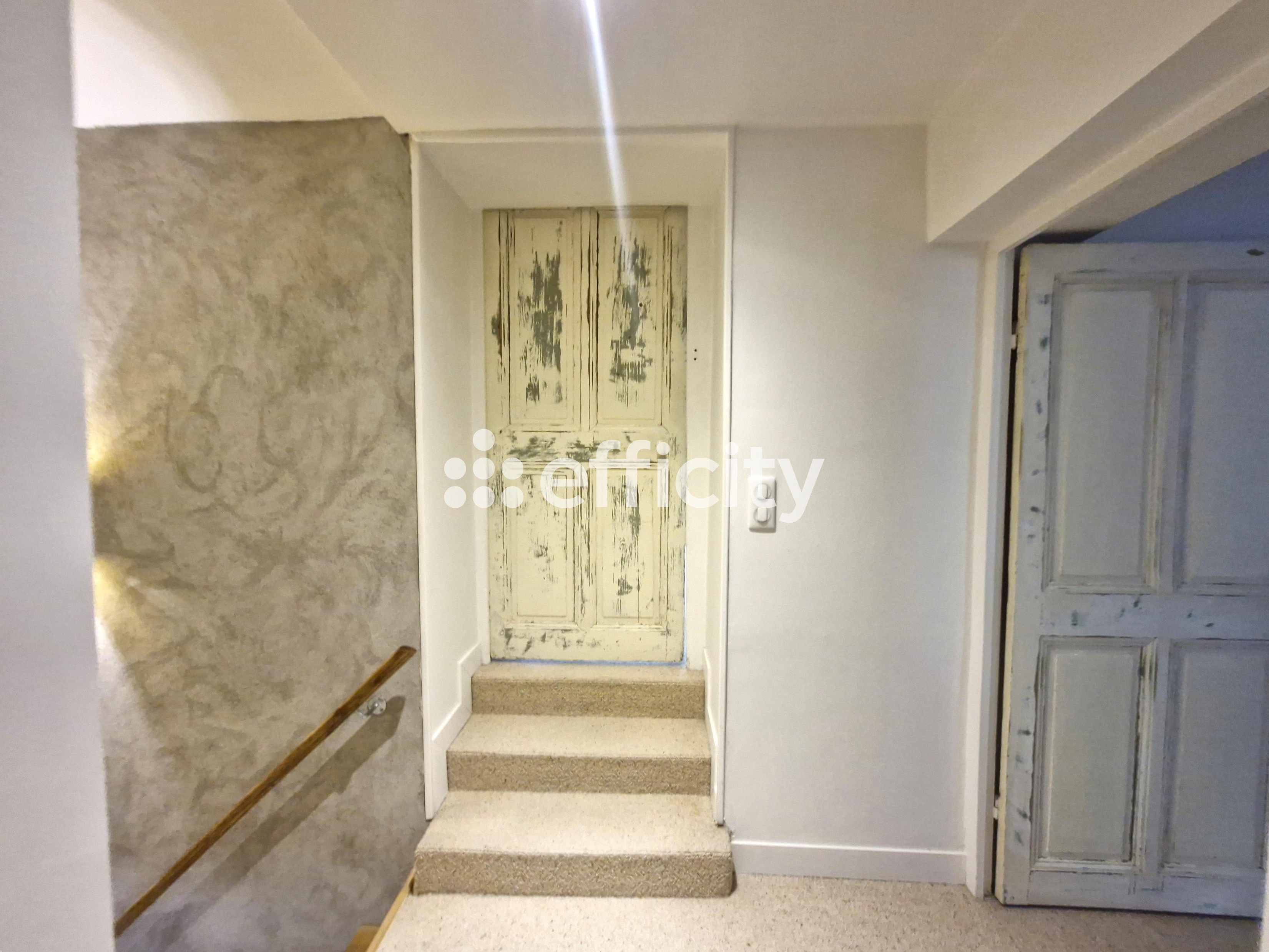 Achat immobilier Maison 6 pièces  257m2 à Vernioz (38150) - Photo n°15